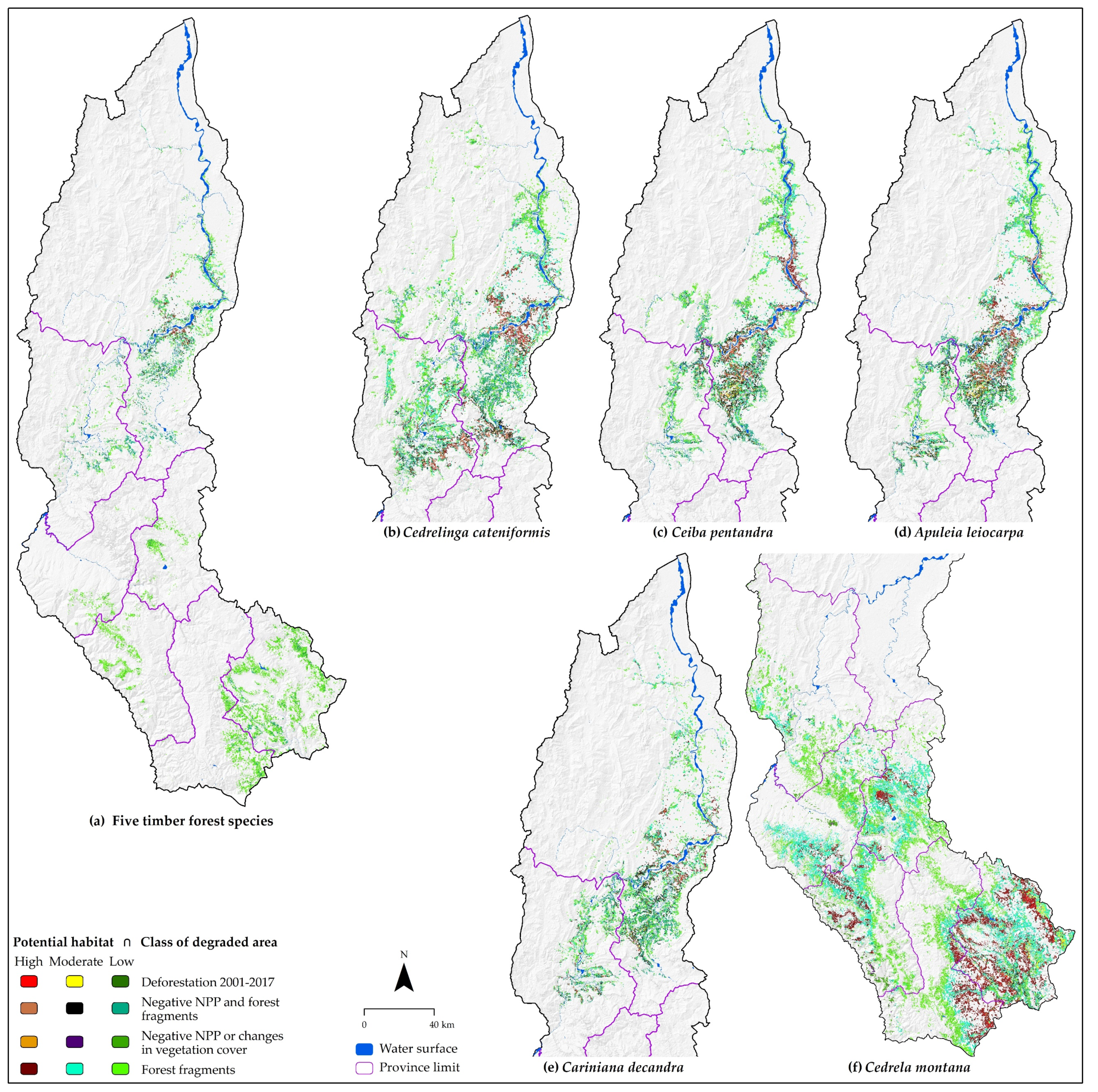 Diversity 12 00305 g009