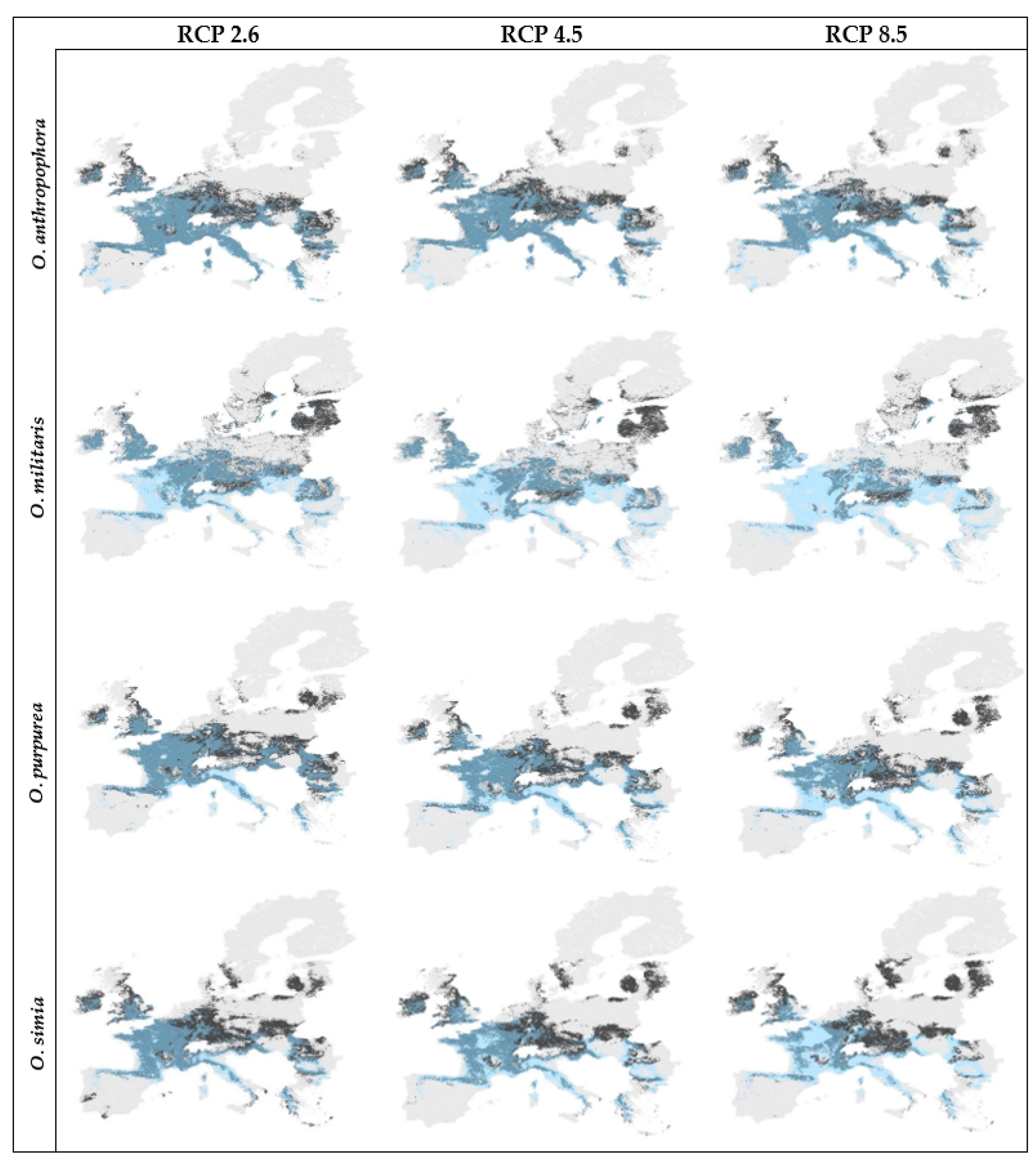 Diversity 12 00312 g002