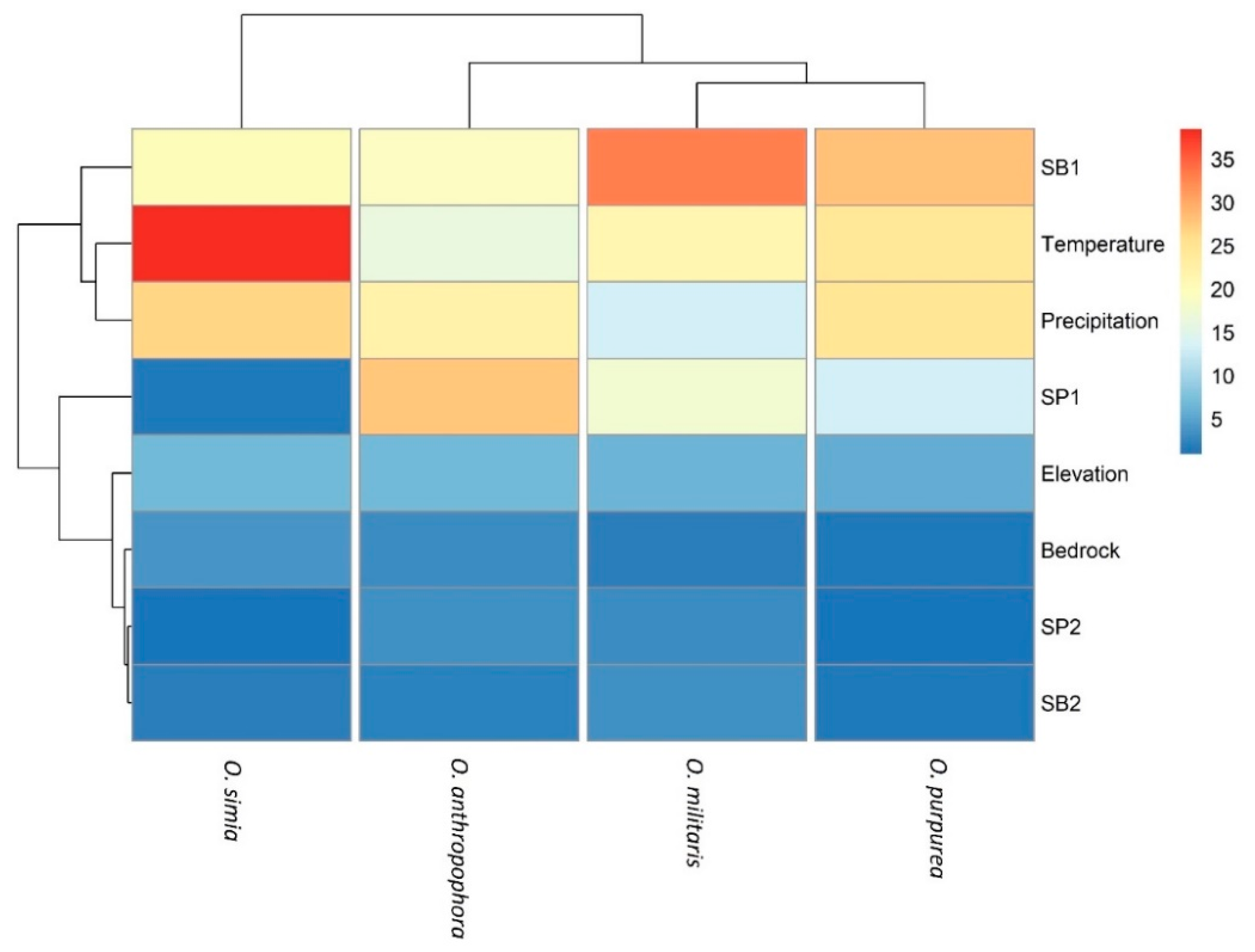 Diversity 12 00312 g004