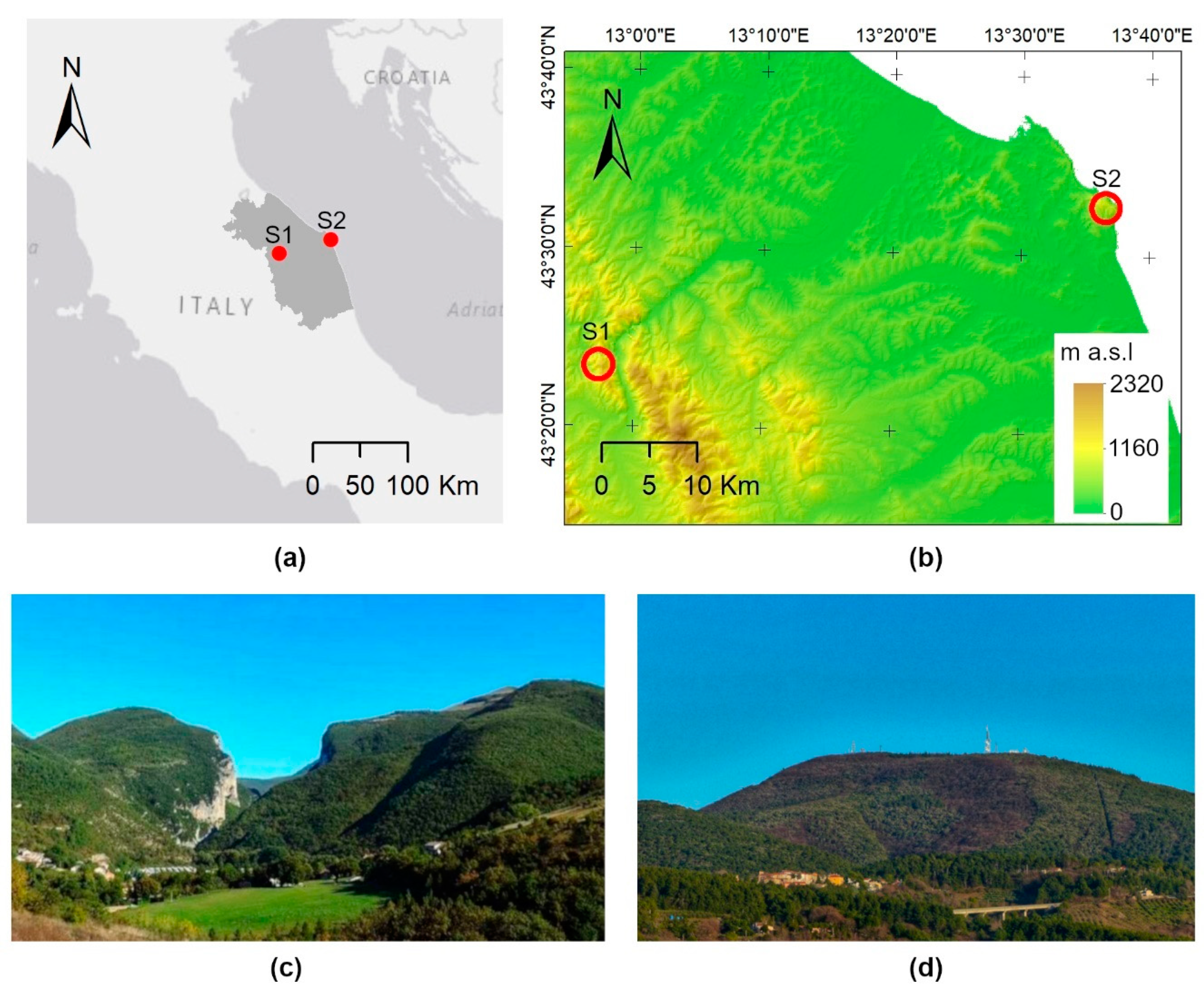 Diversity 12 00313 g002 Diversity 12 00313 g002