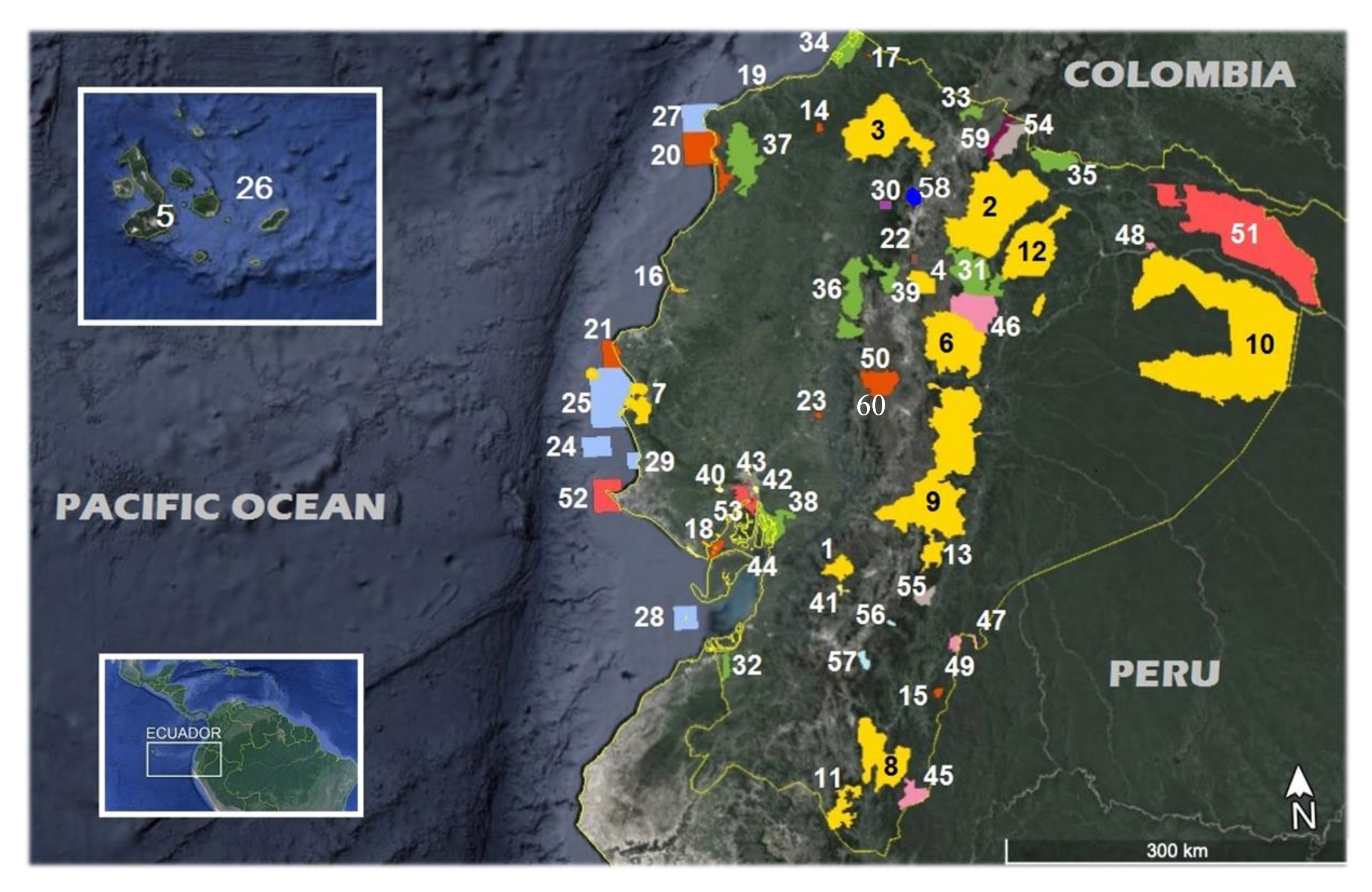 Diversity 12 00315 g001