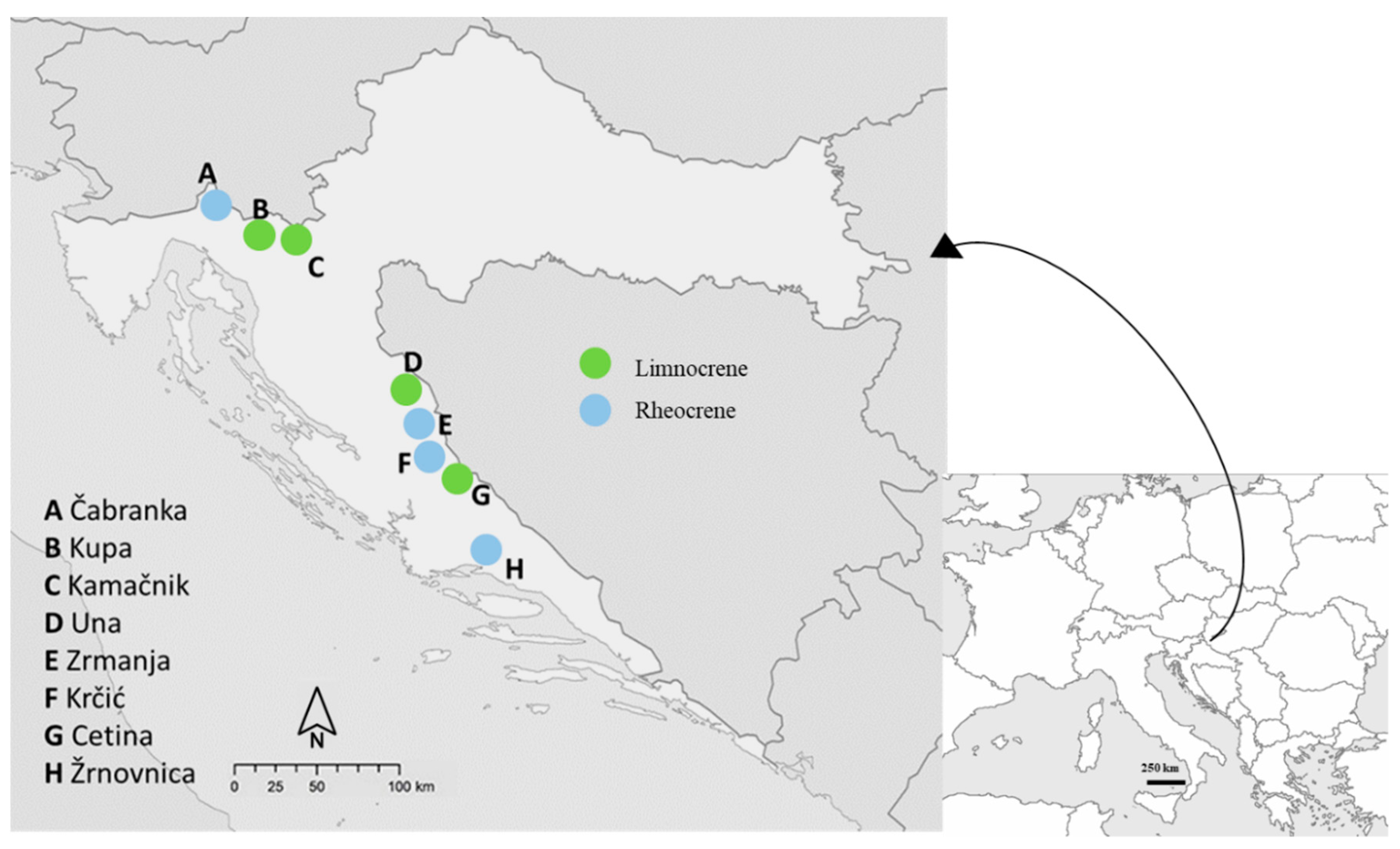 Diversity 12 00316 g001