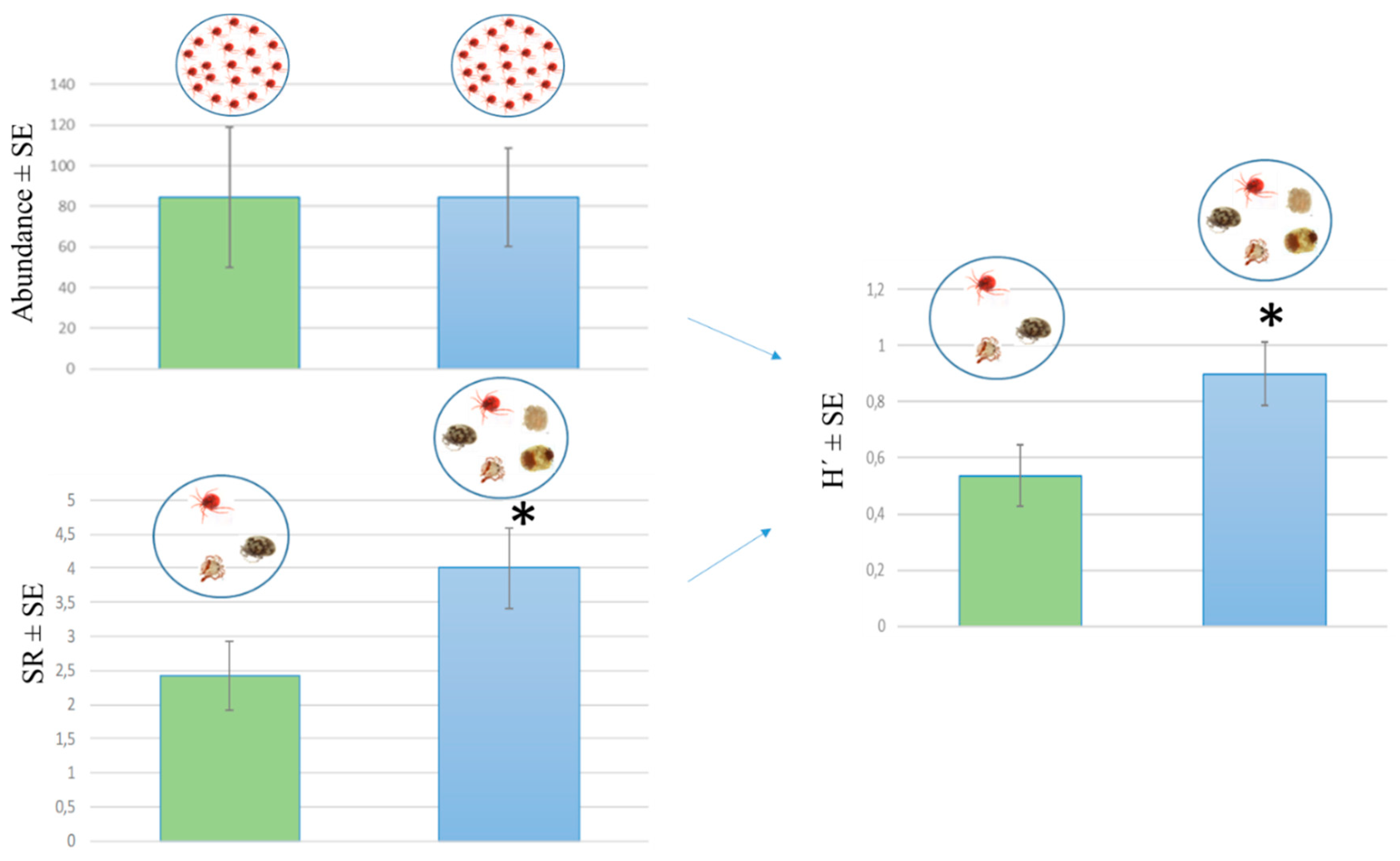 Diversity 12 00316 g003