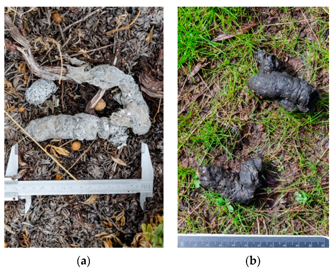 Diversity 12 00317 g0a1 Diversity 12 00317 g0a1