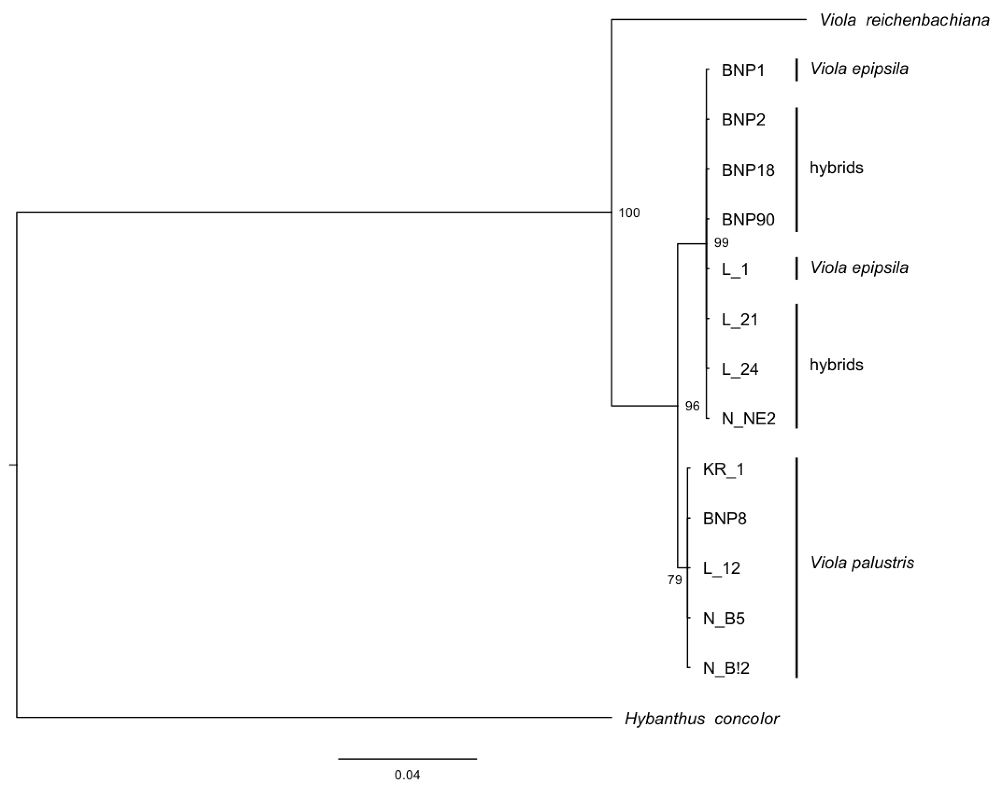 Diversity 12 00321 g008 Diversity 12 00321 g008