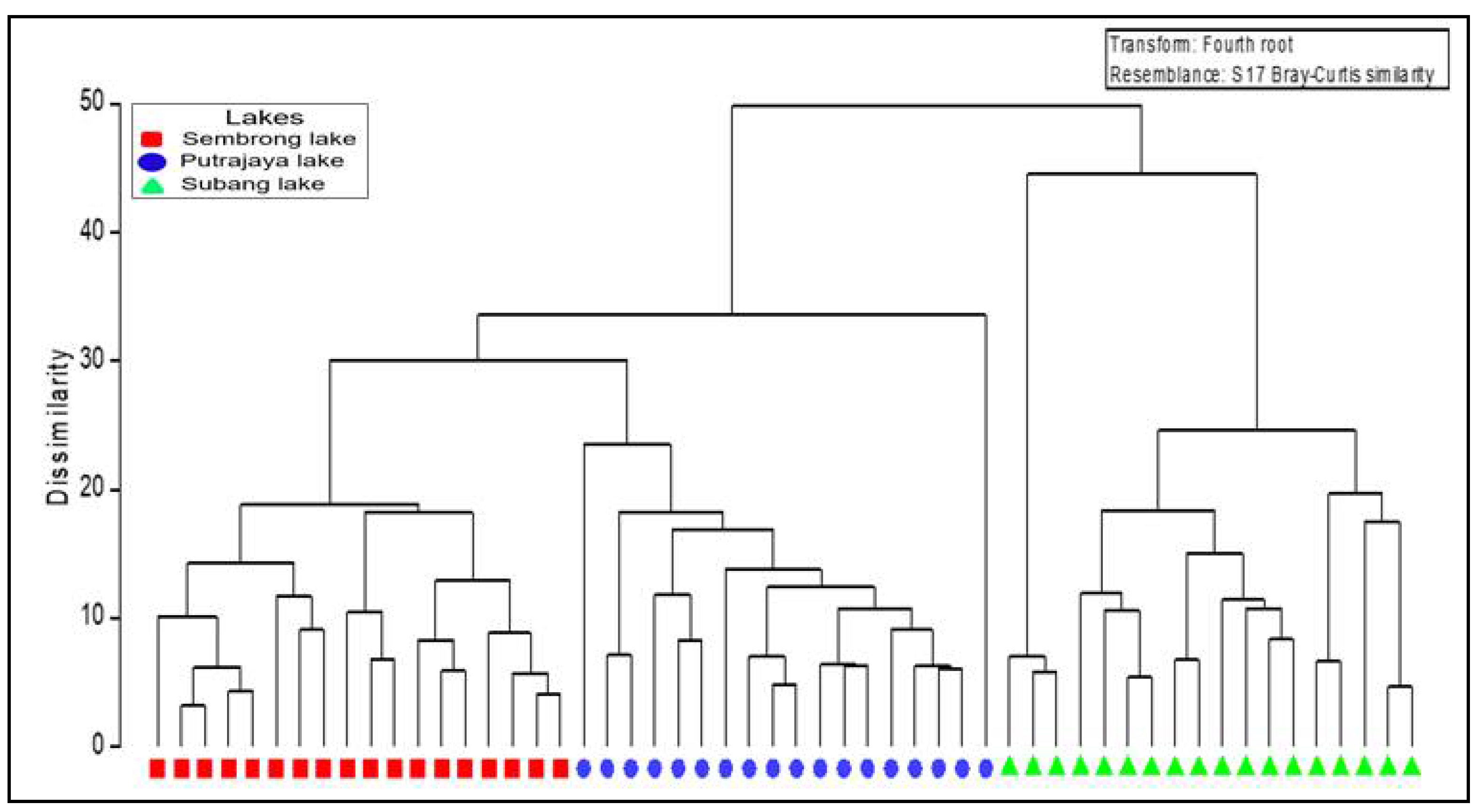 Diversity 12 00322 g004 Diversity 12 00322 g004