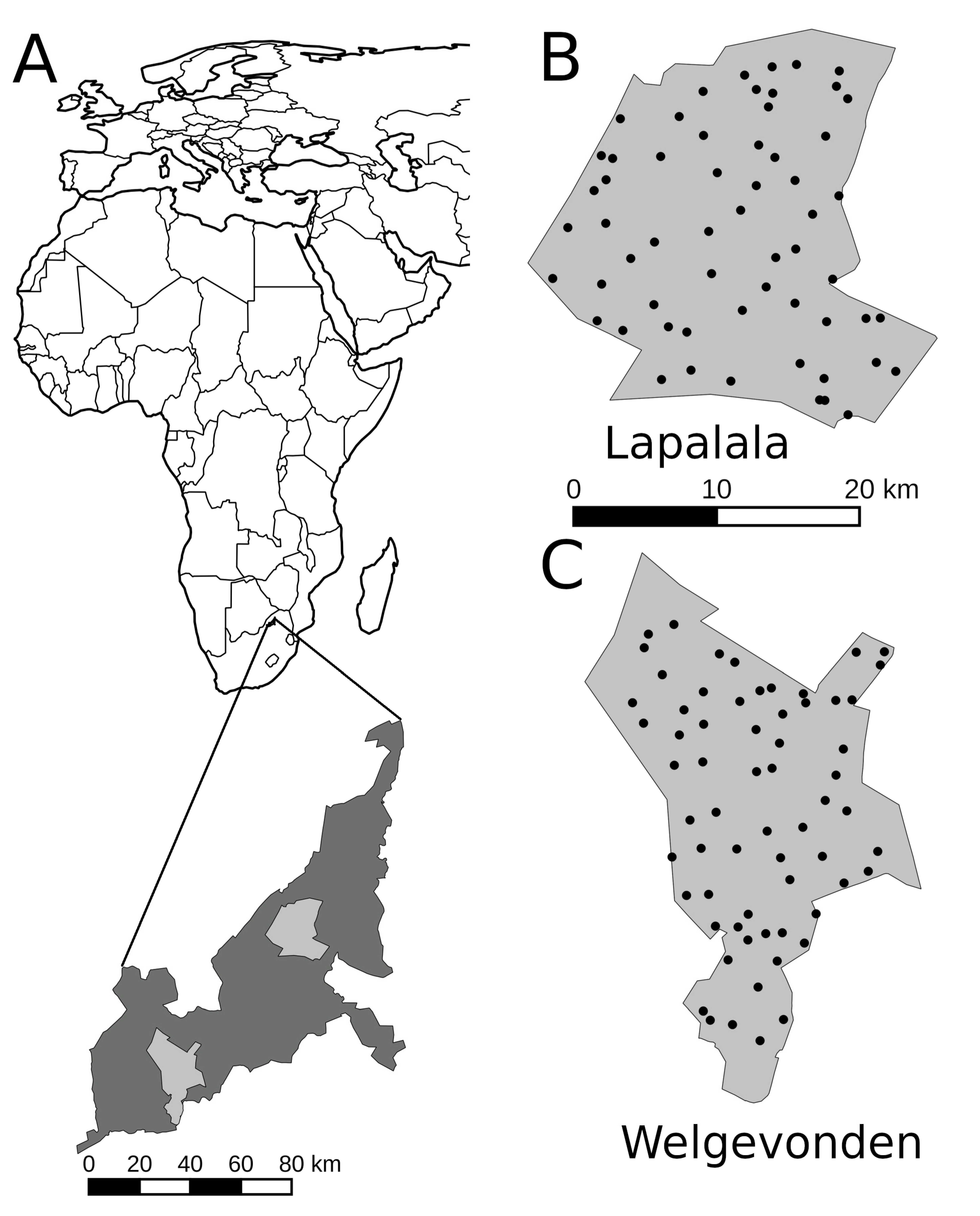 Diversity 12 00325 g001