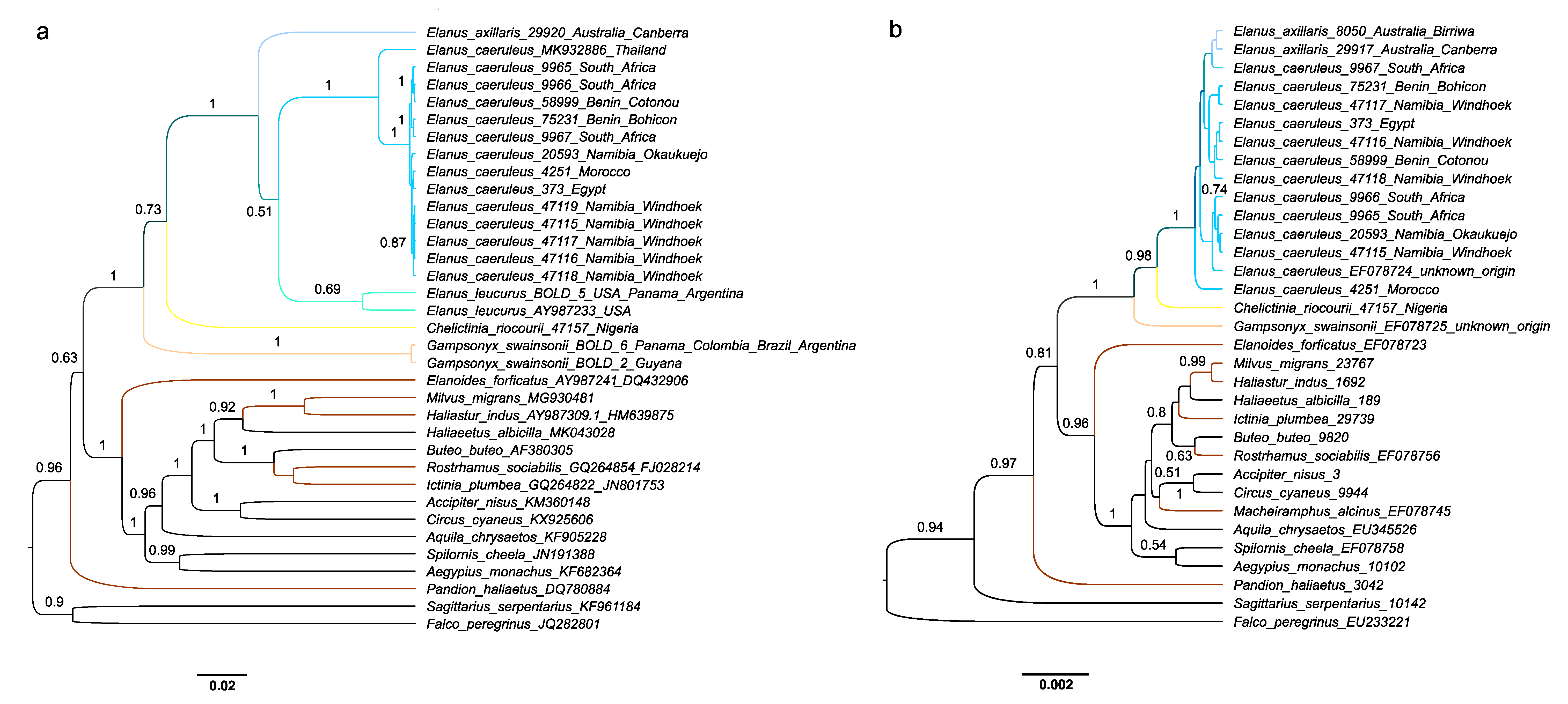 Diversity 12 00327 g002