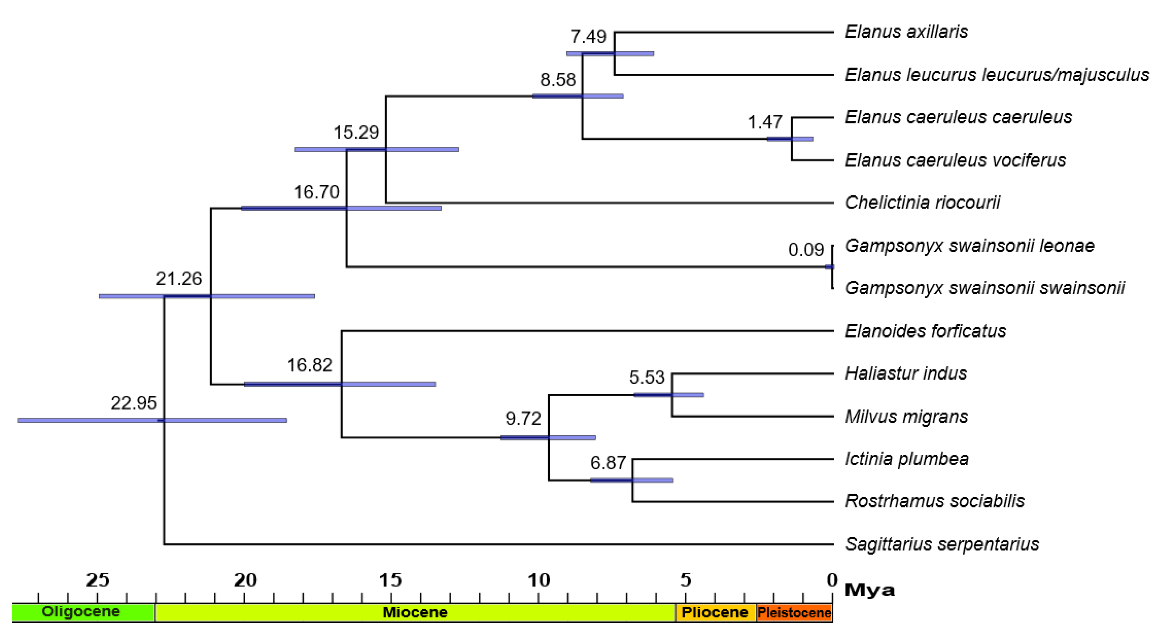 Diversity 12 00327 g003
