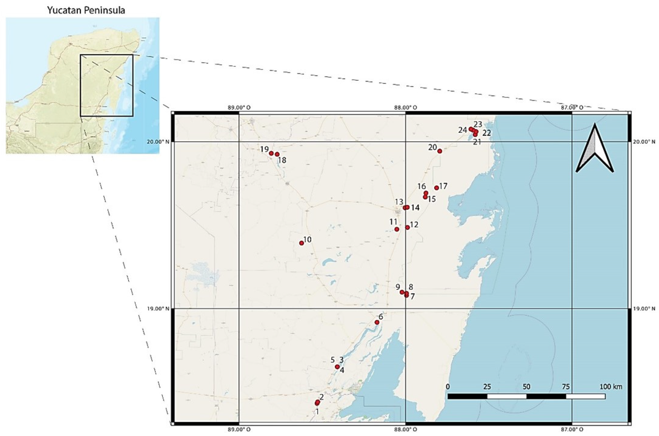 Diversity 12 00329 g001 Diversity 12 00329 g001