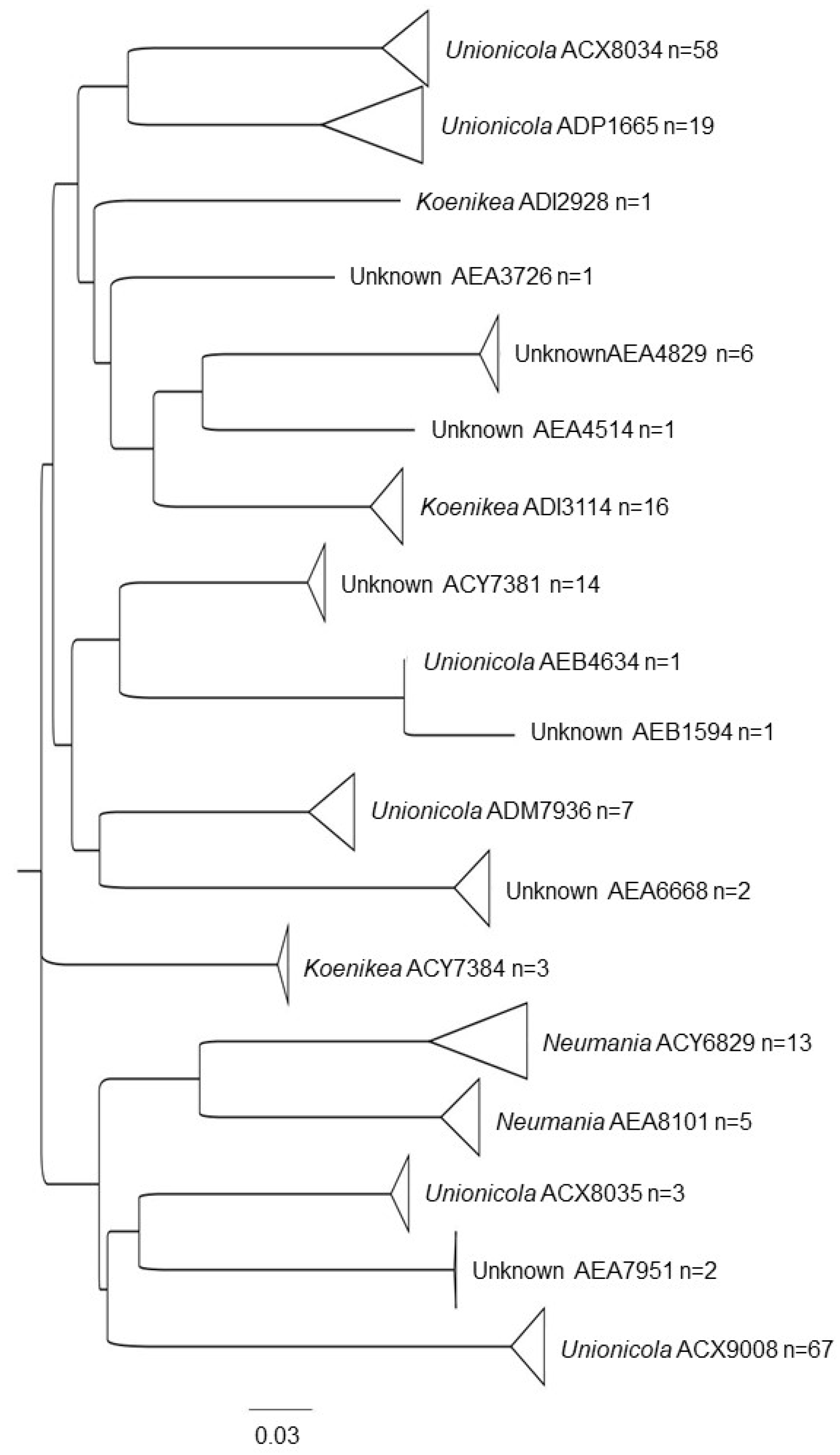 Diversity 12 00329 g004 Diversity 12 00329 g004