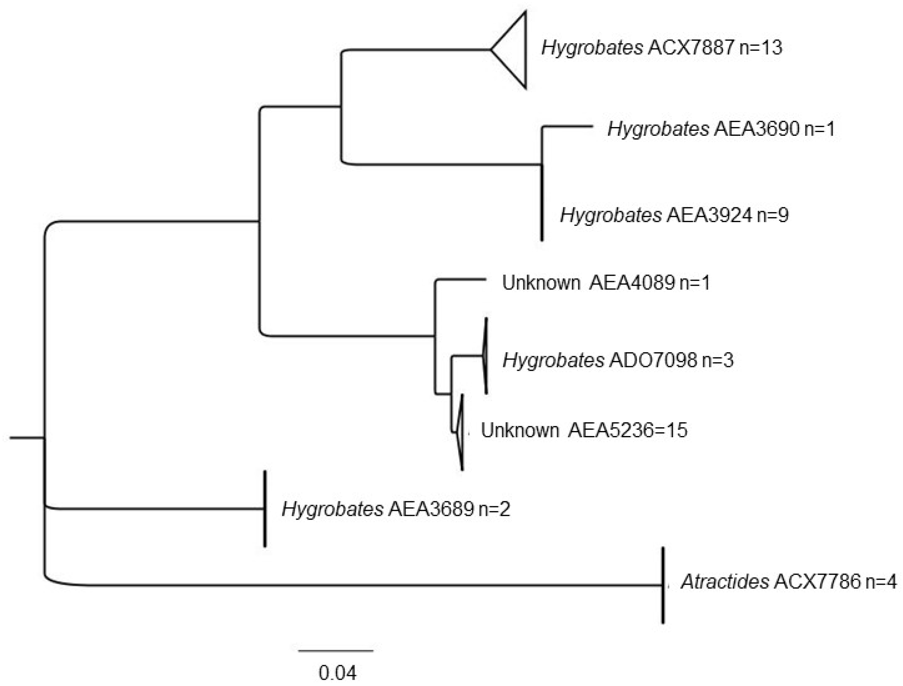 Diversity 12 00329 g007 Diversity 12 00329 g007