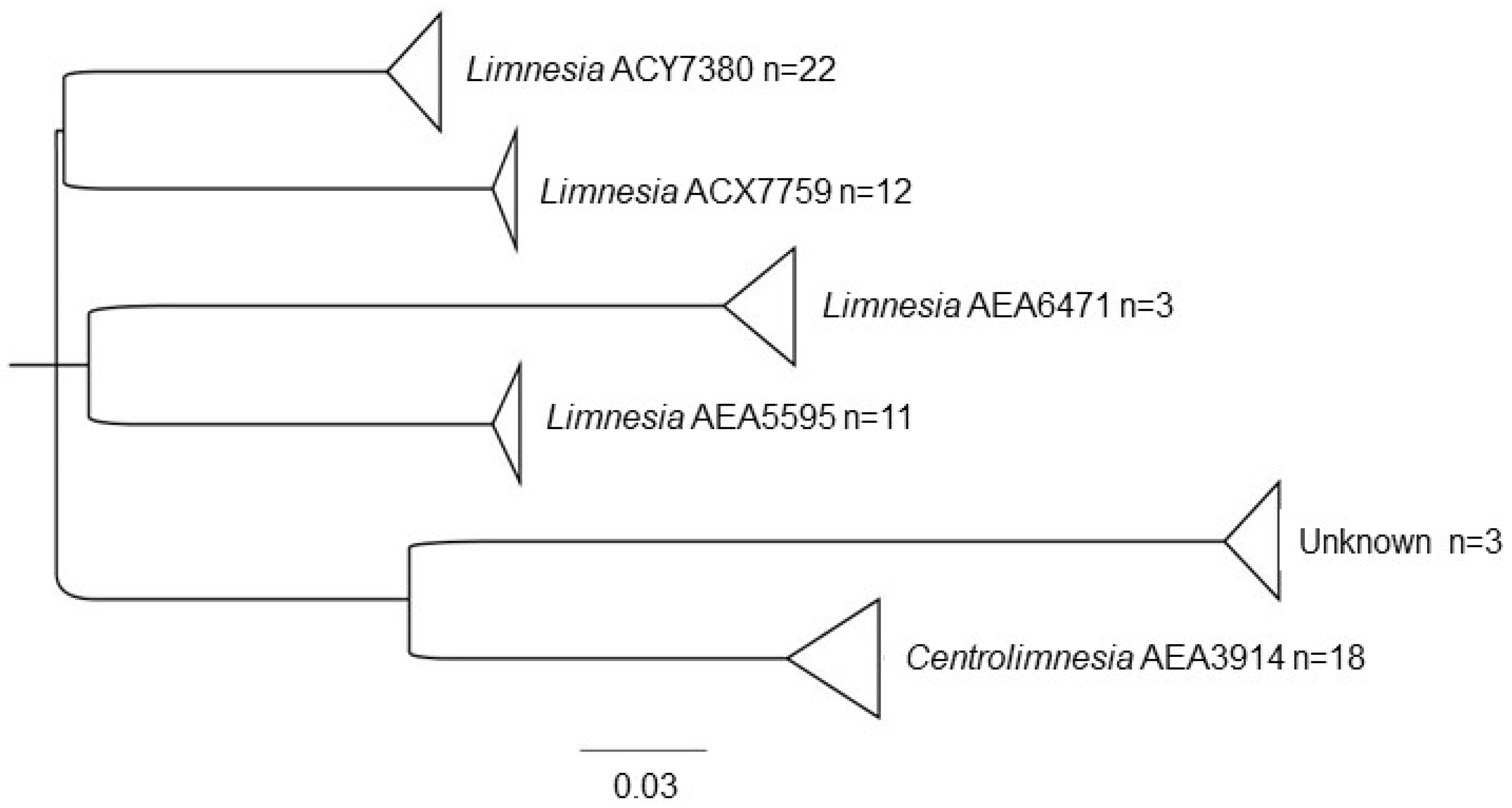 Diversity 12 00329 g008 Diversity 12 00329 g008
