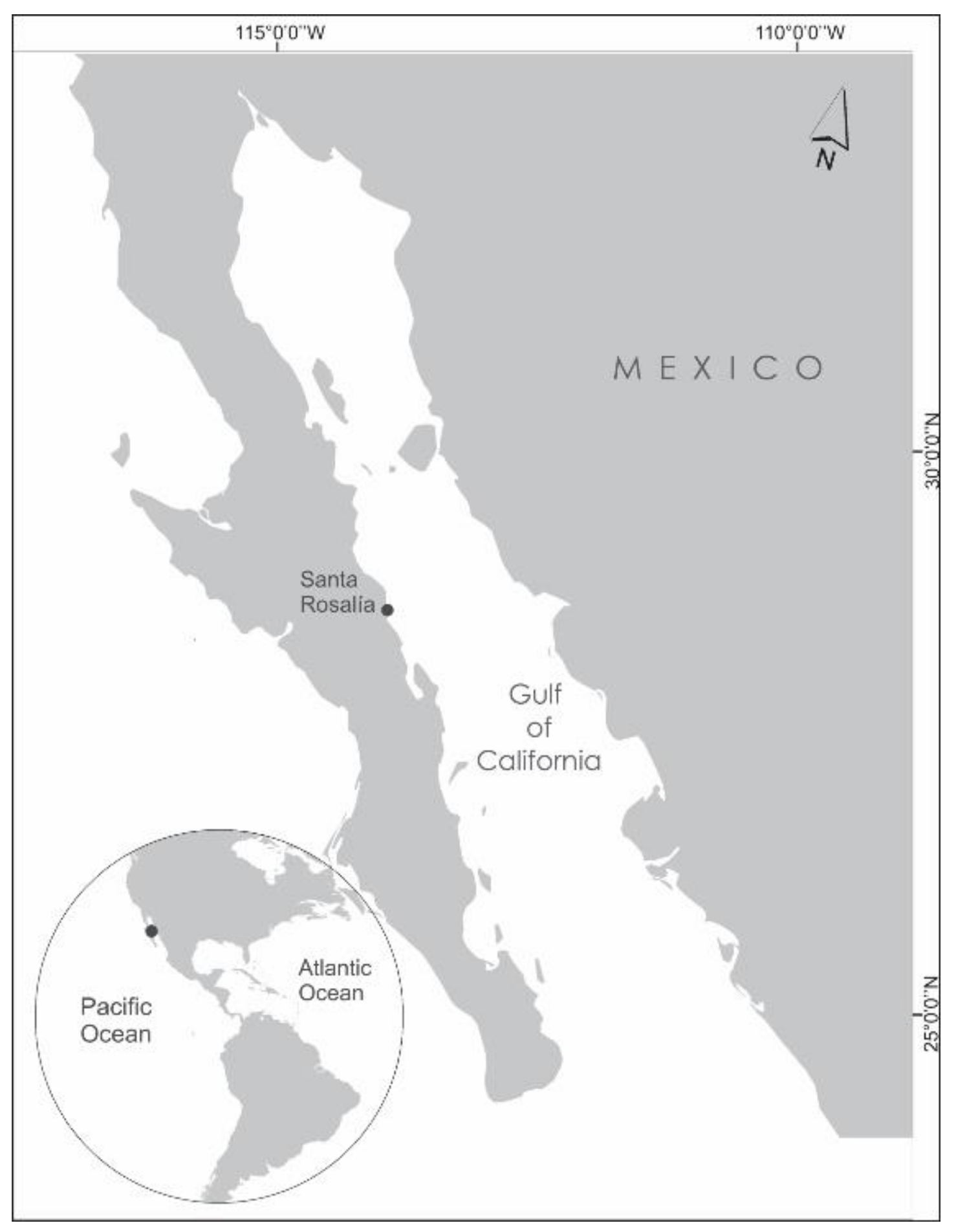 Diversity 12 00339 g001