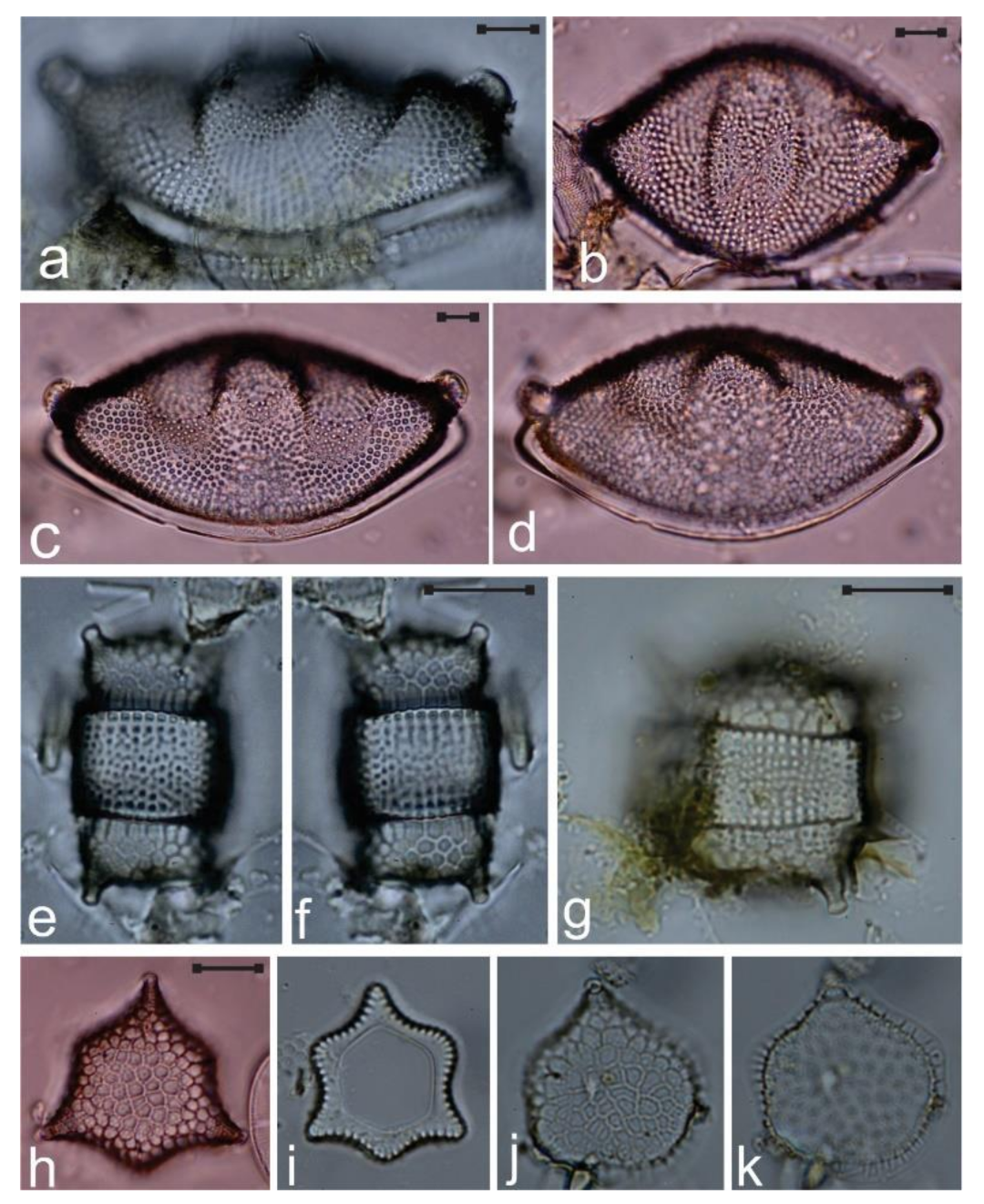 Diversity 12 00339 g013