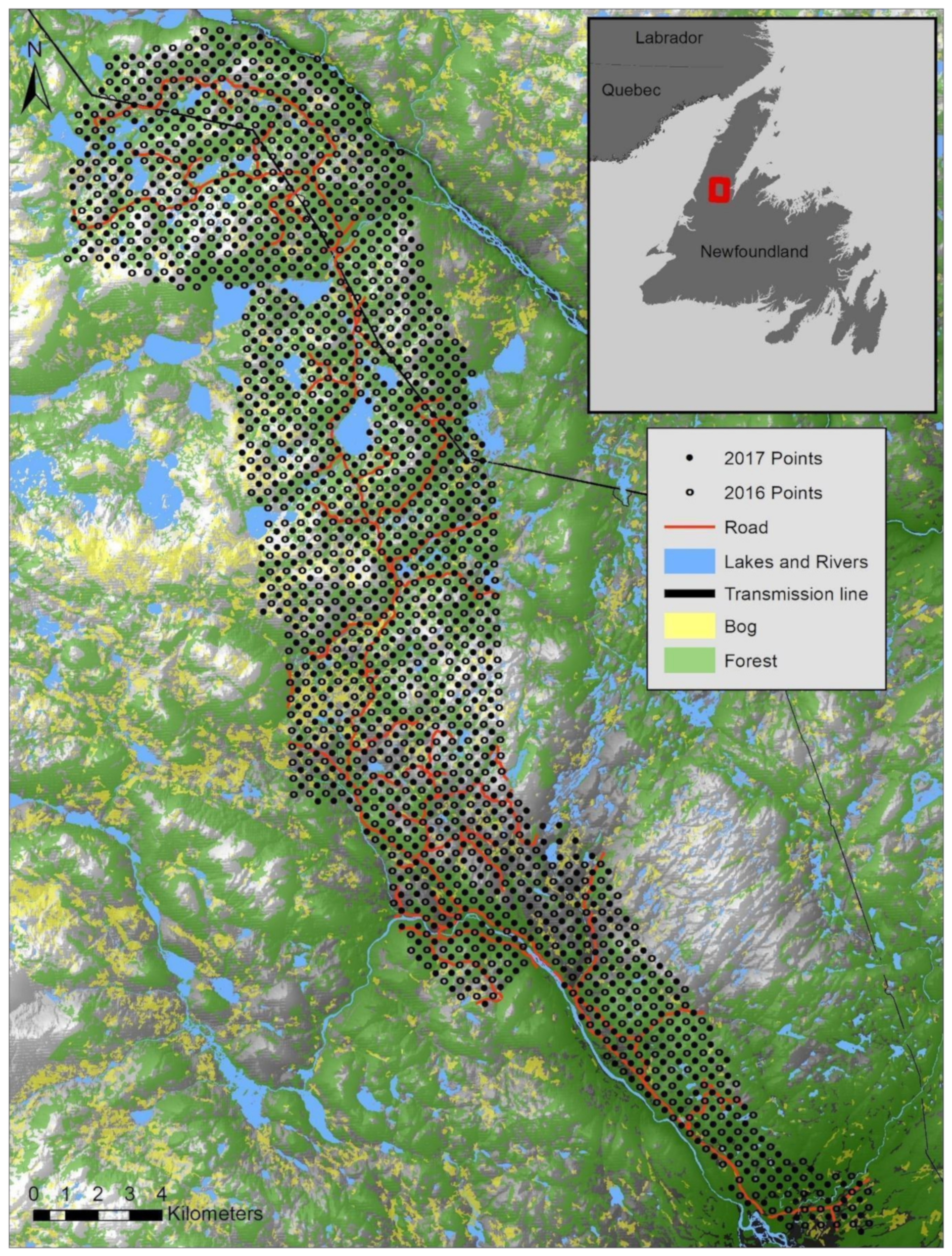 Diversity 12 00340 g001