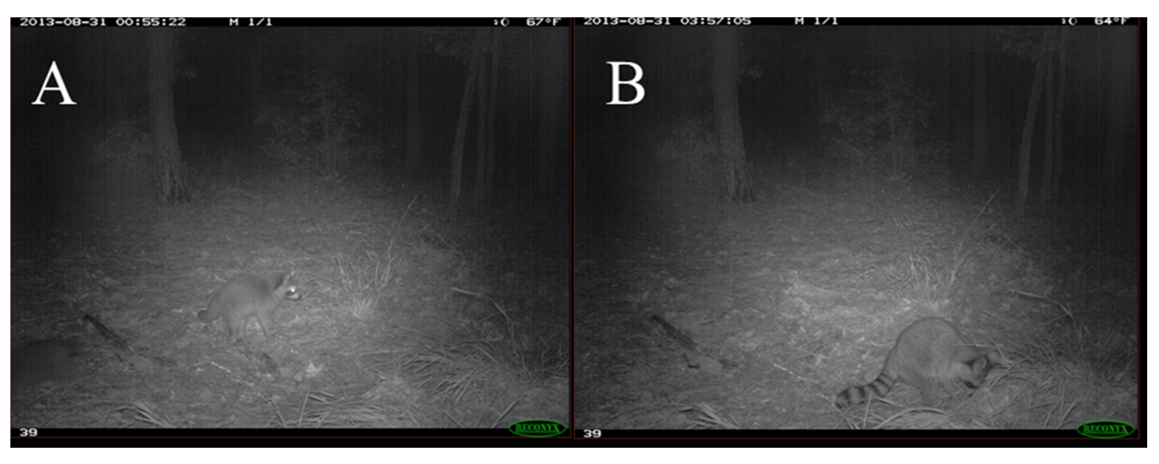 Diversity 12 00341 g001 Diversity 12 00341 g001