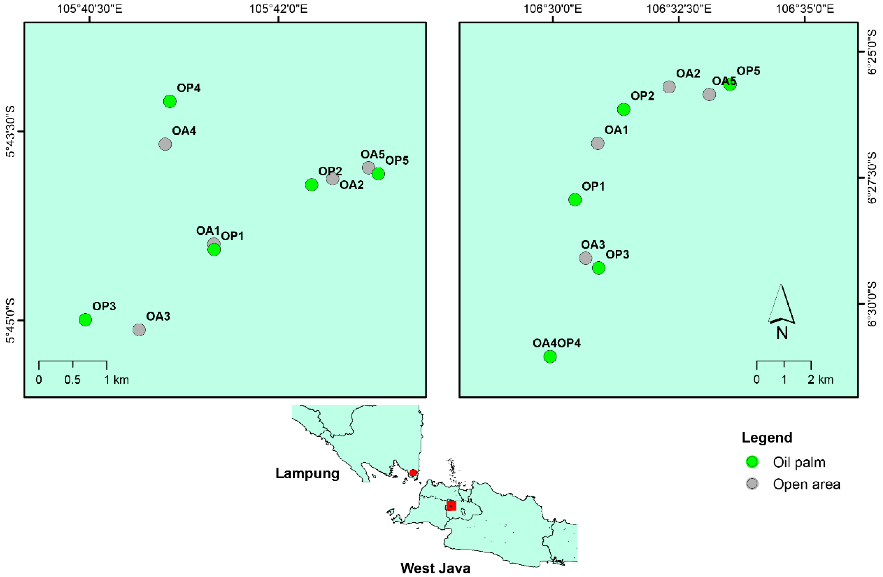 Diversity 12 00344 g001 Diversity 12 00344 g001