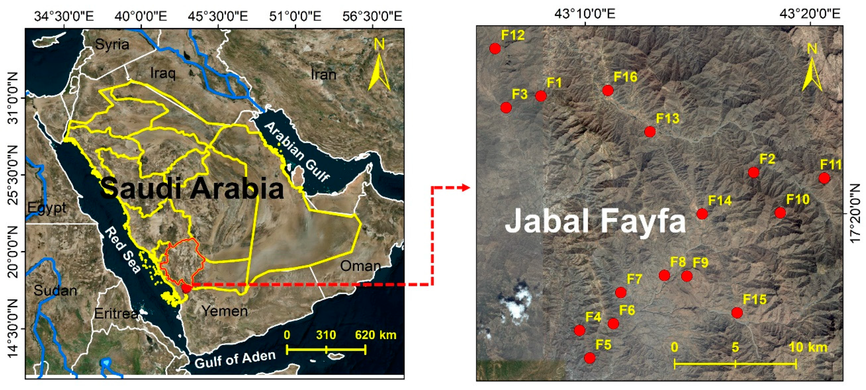 Diversity 12 00345 g001 Diversity 12 00345 g001