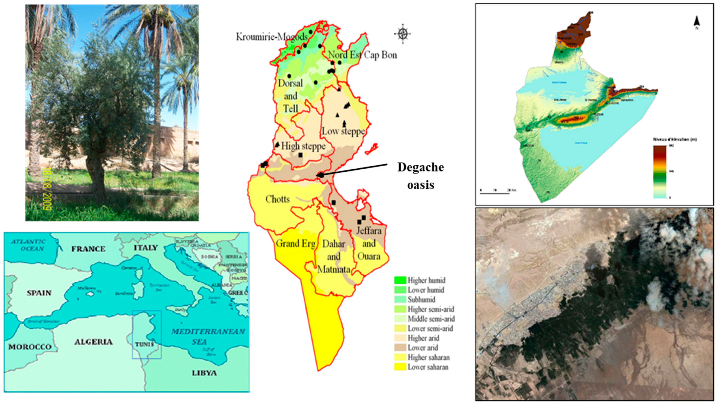 Diversity 12 00358 g001 Diversity 12 00358 g001