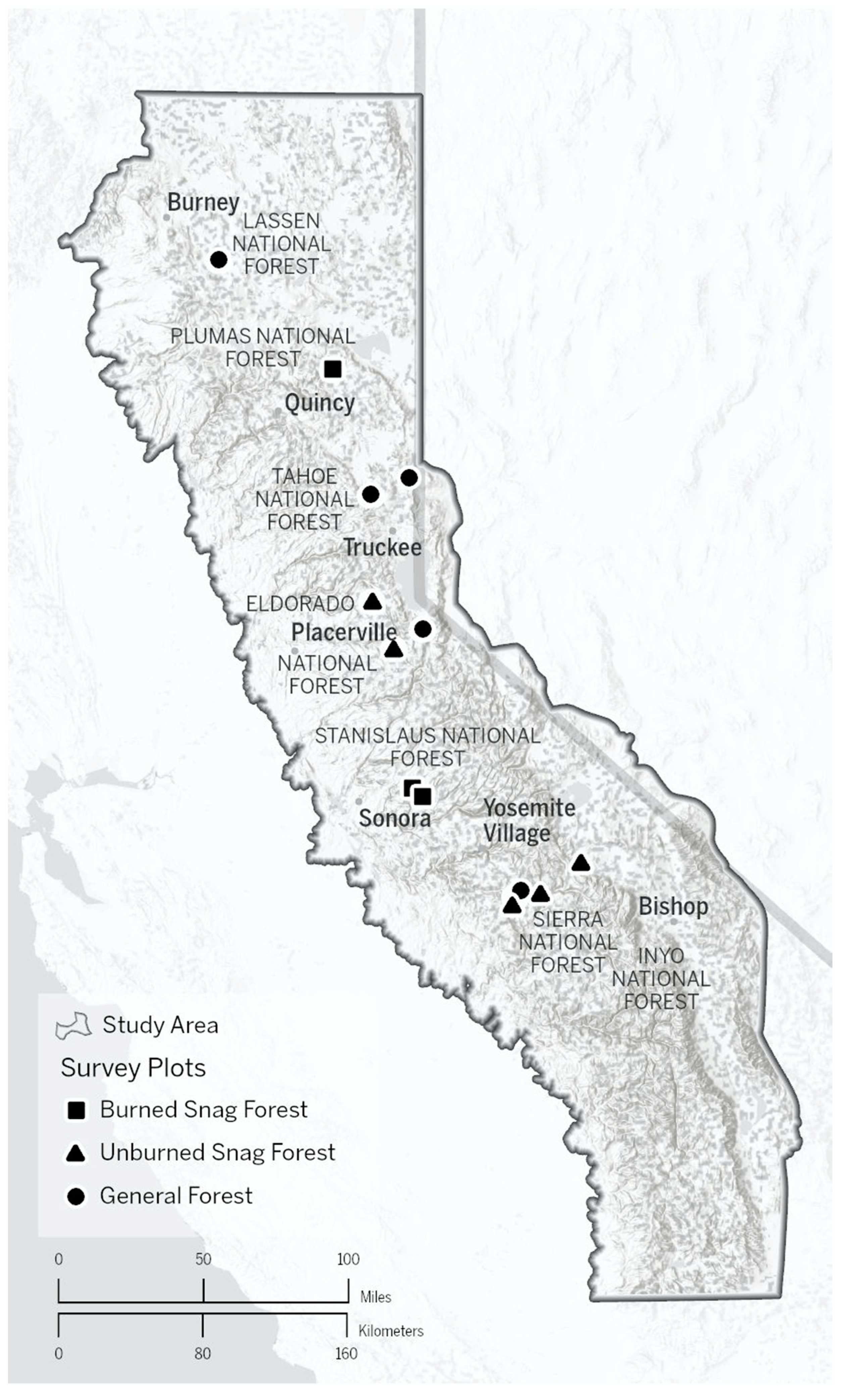 Diversity 12 00364 g001