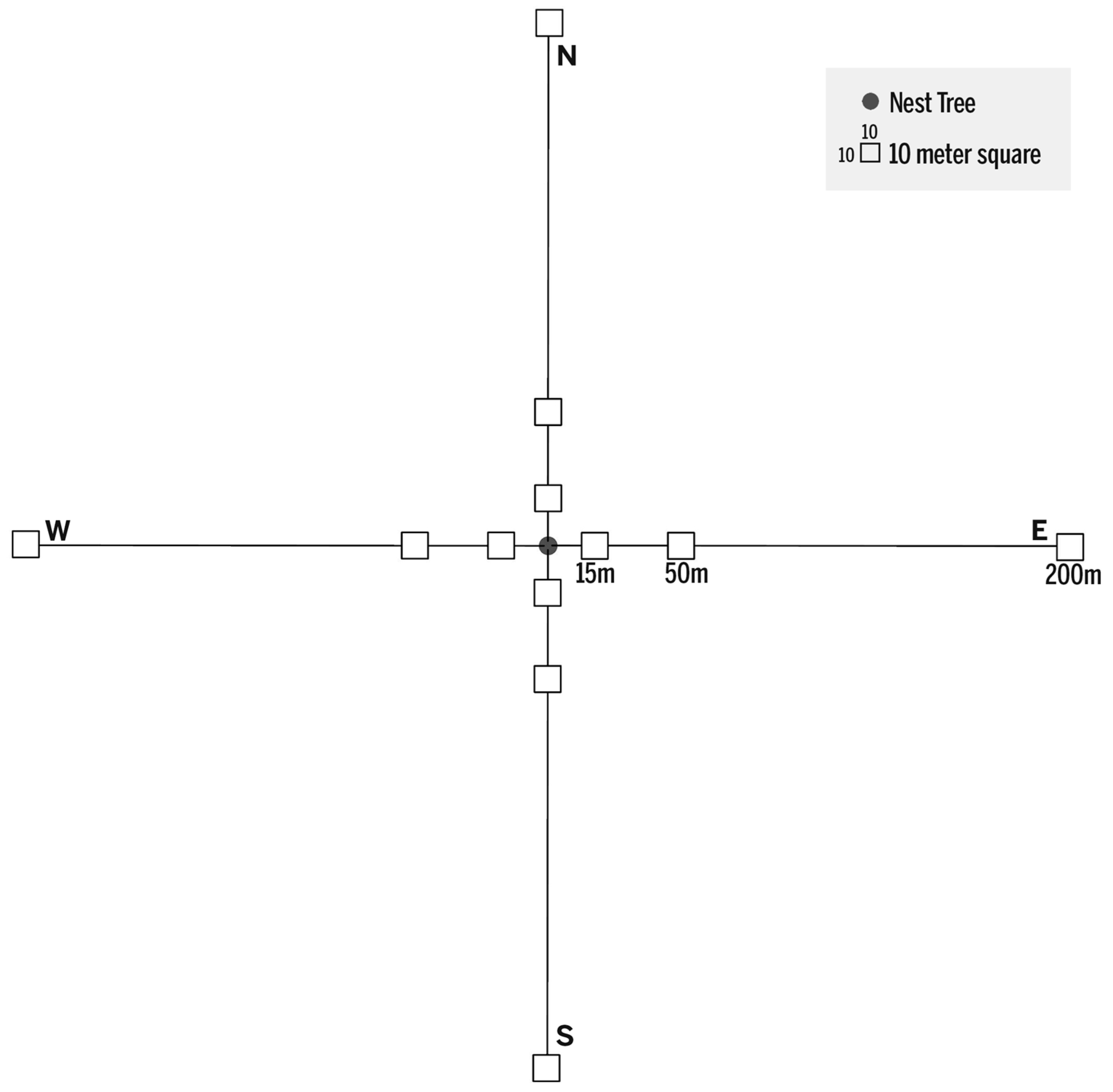 Diversity 12 00364 g003
