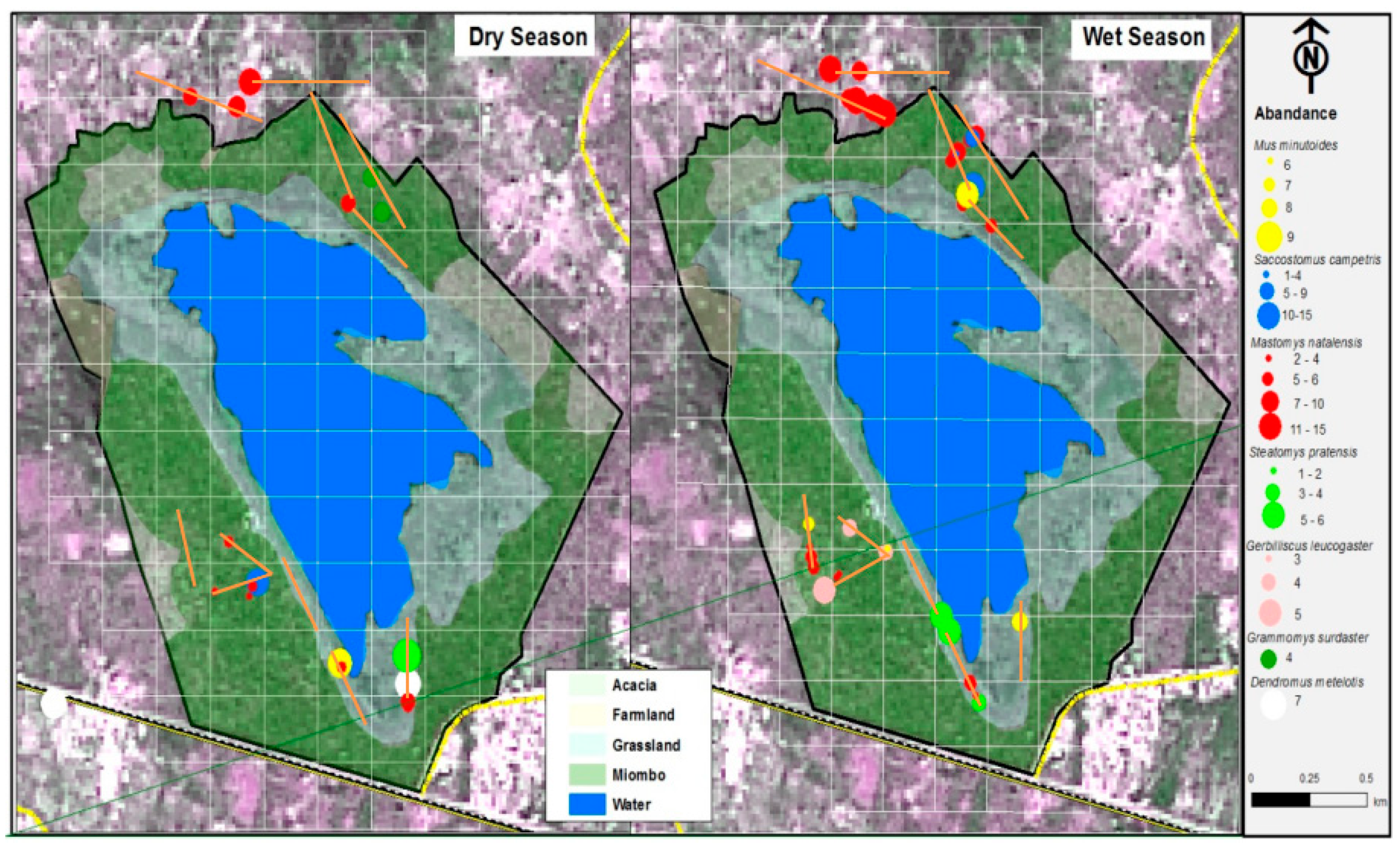 Diversity 12 00365 g002 Diversity 12 00365 g002