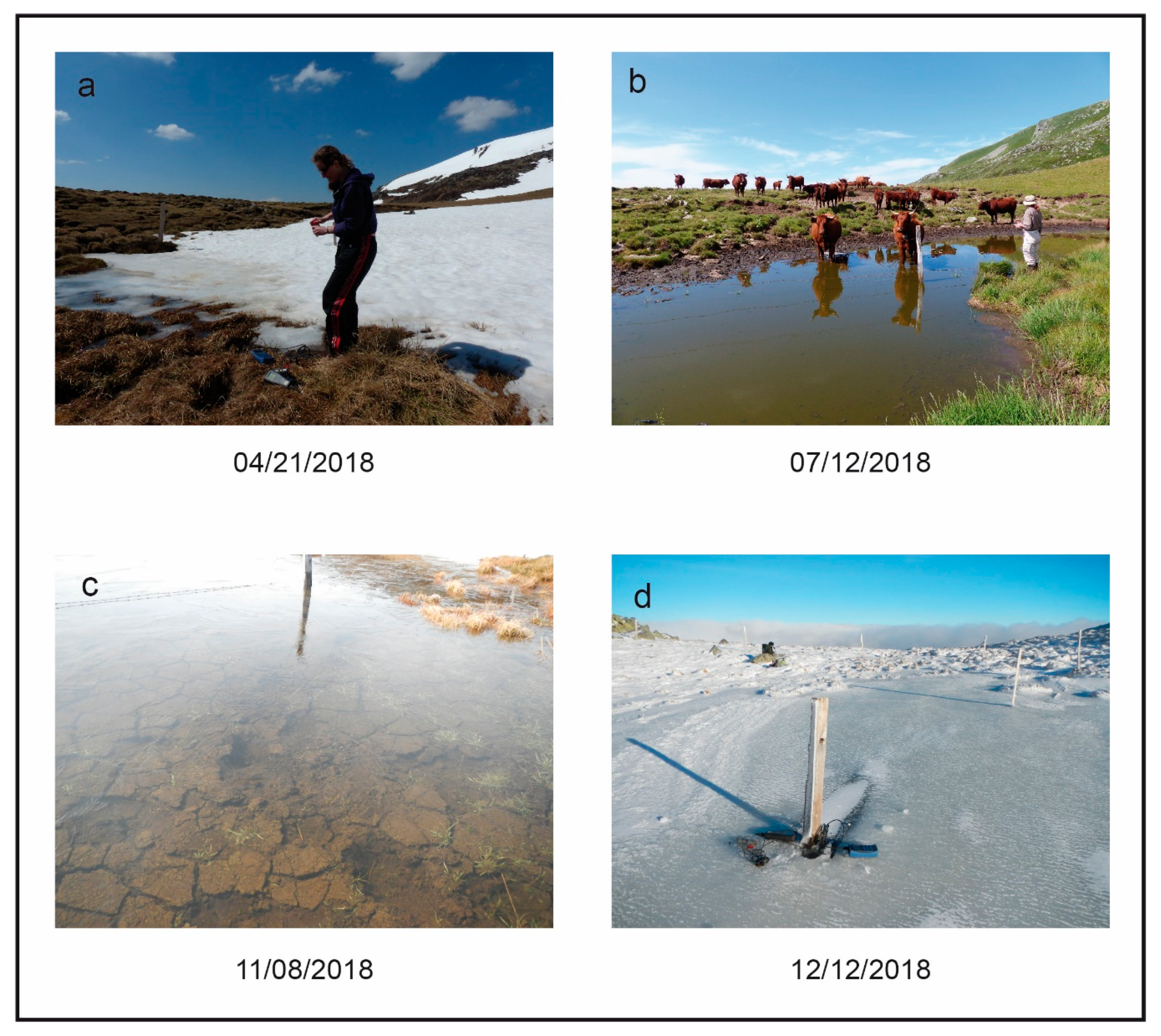 Diversity 12 00367 g002 Diversity 12 00367 g002