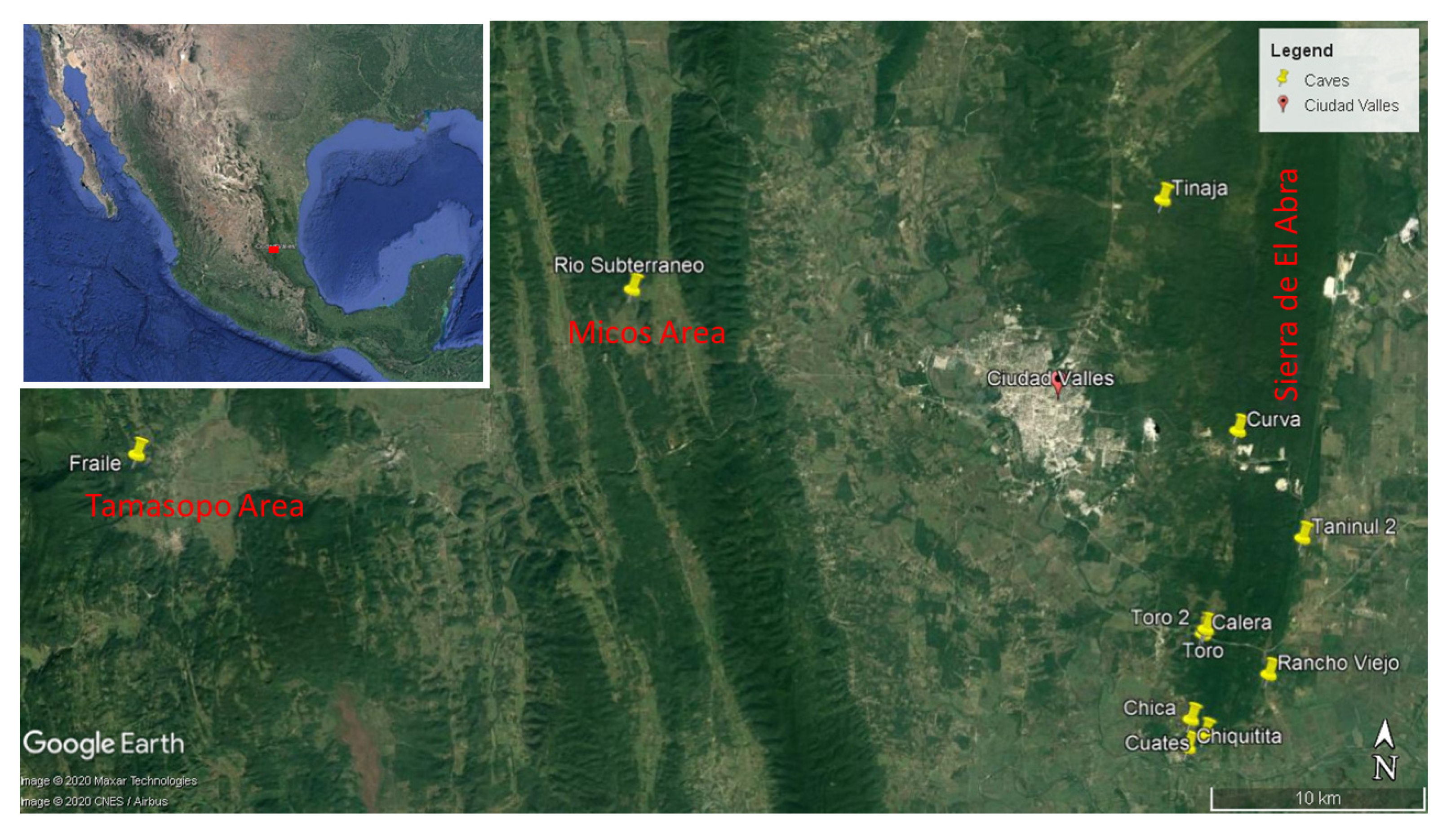 Diversity 12 00368 g001