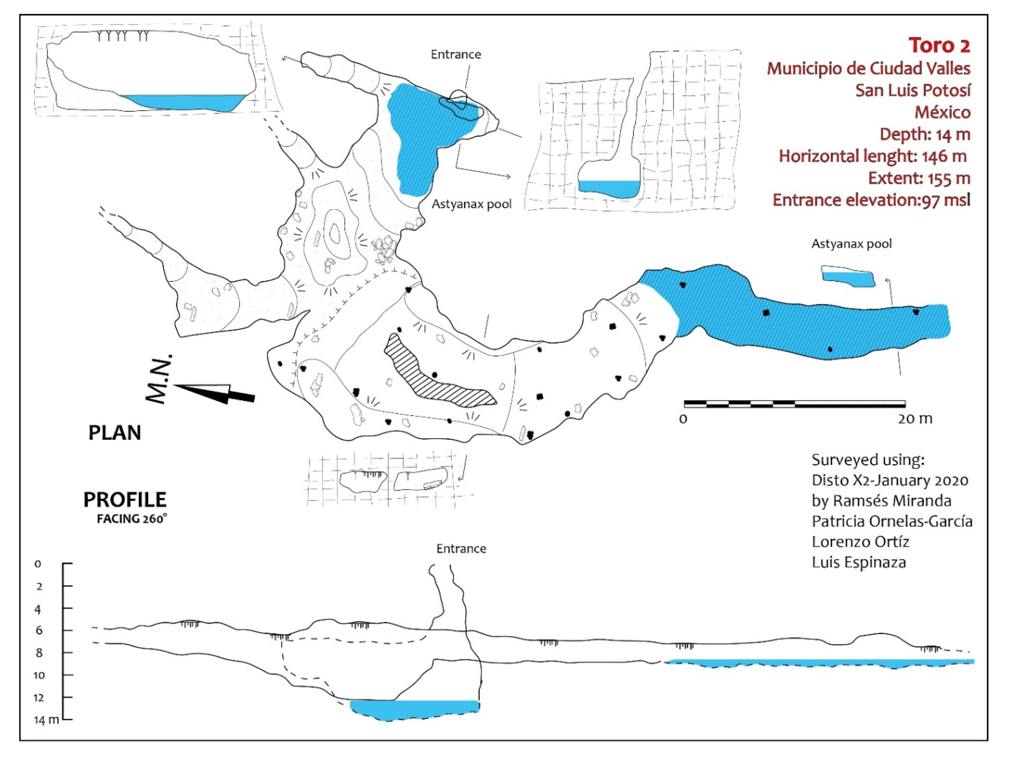 Diversity 12 00368 g005