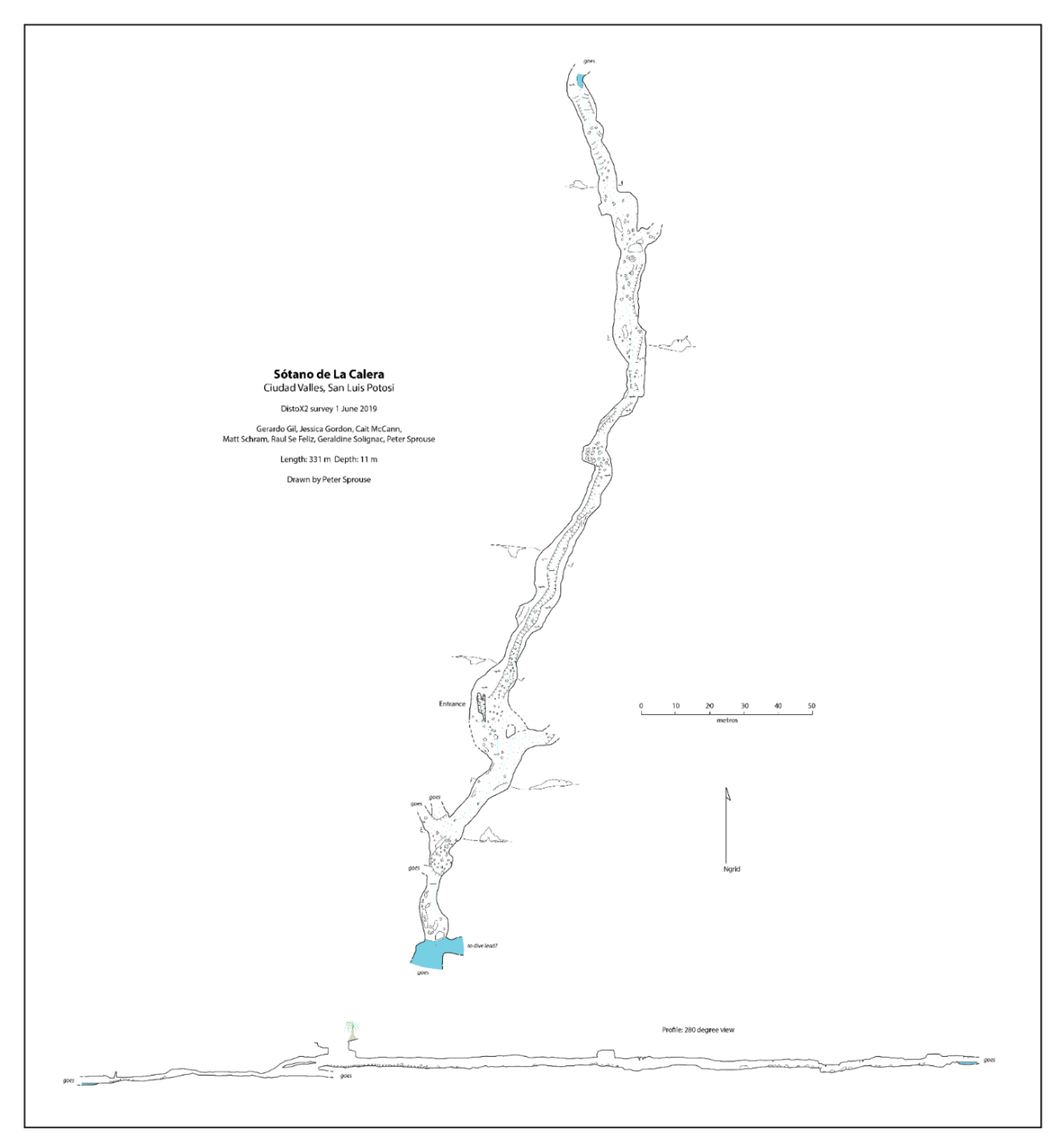 Diversity 12 00368 g007