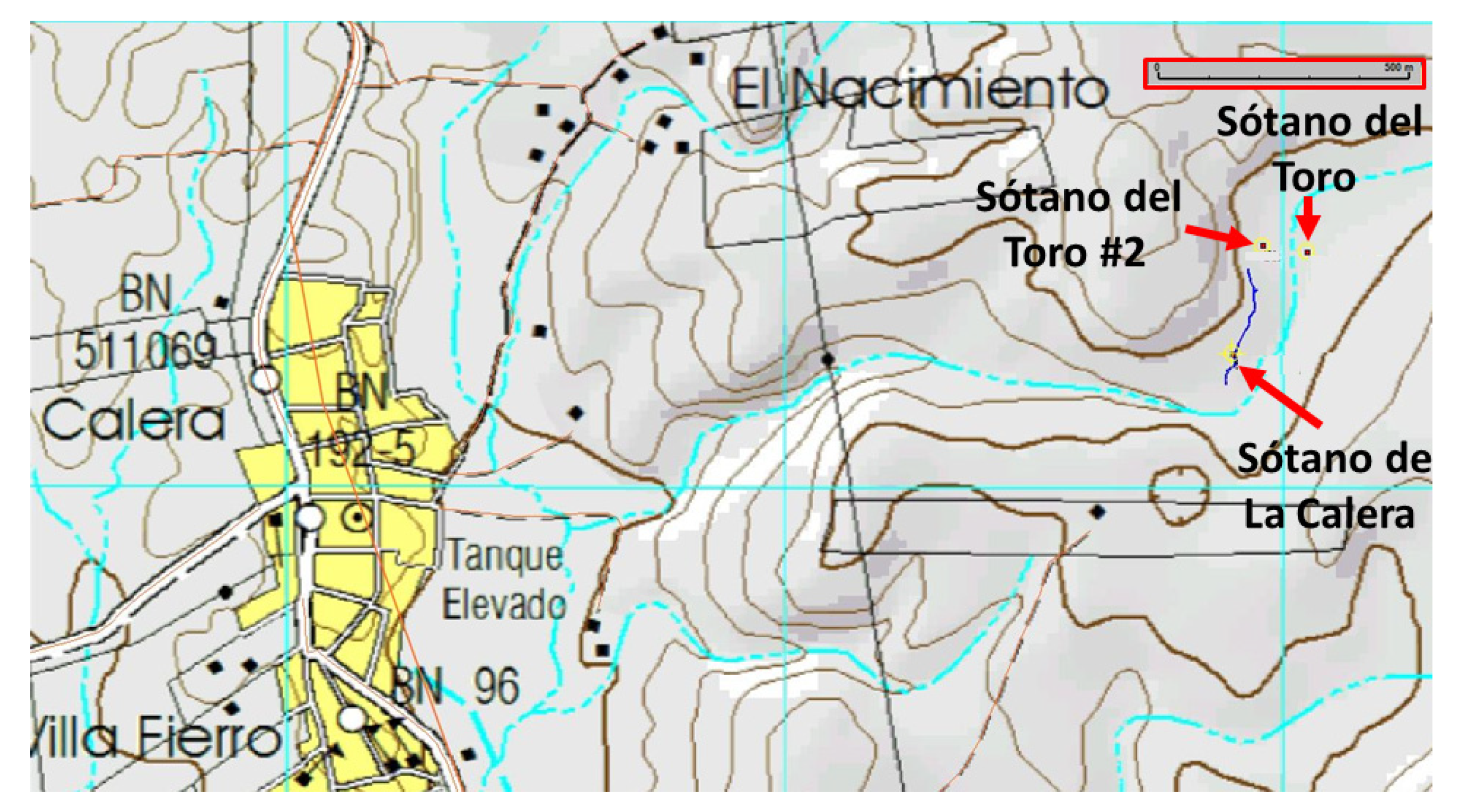 Diversity 12 00368 g008