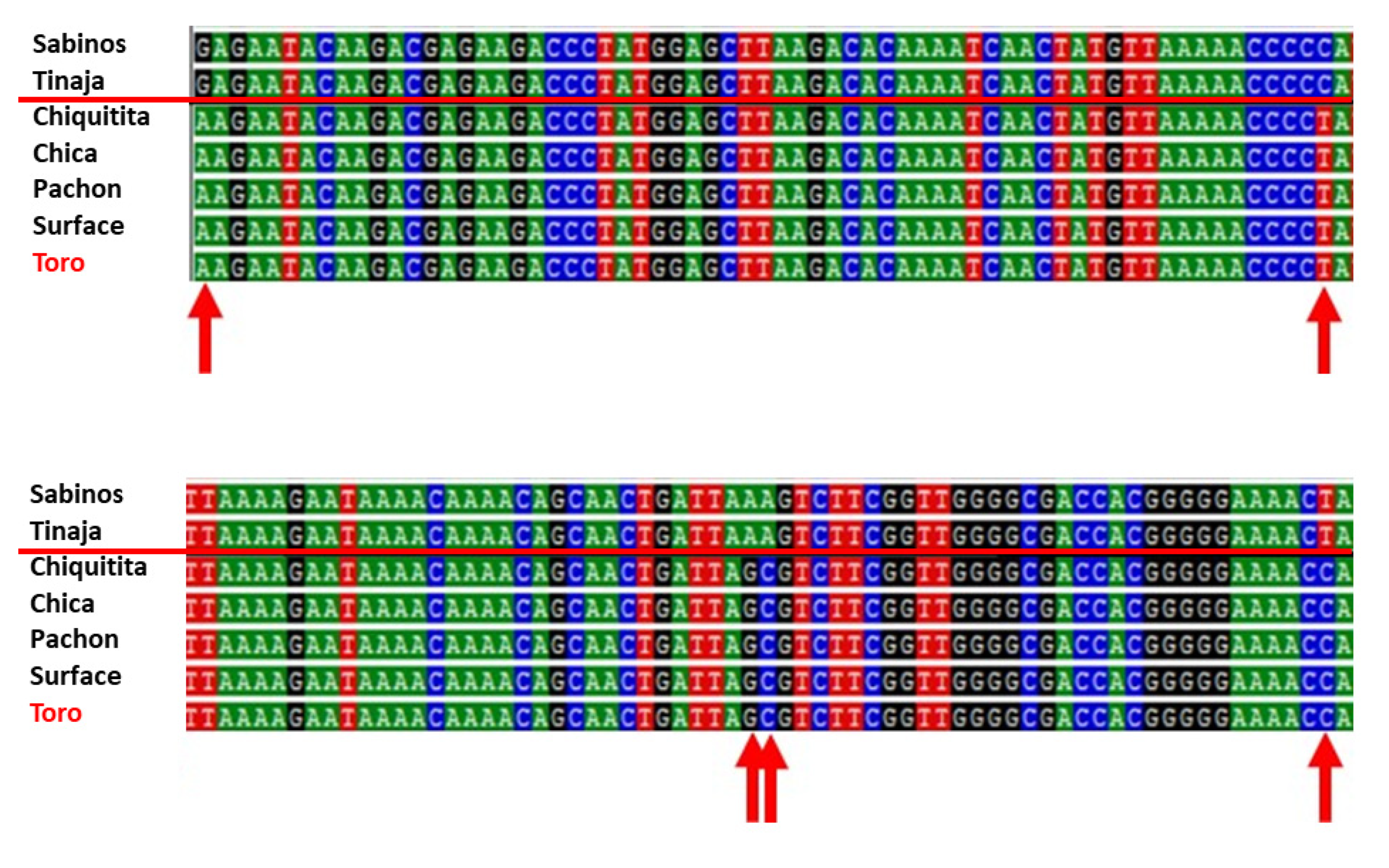Diversity 12 00368 g010