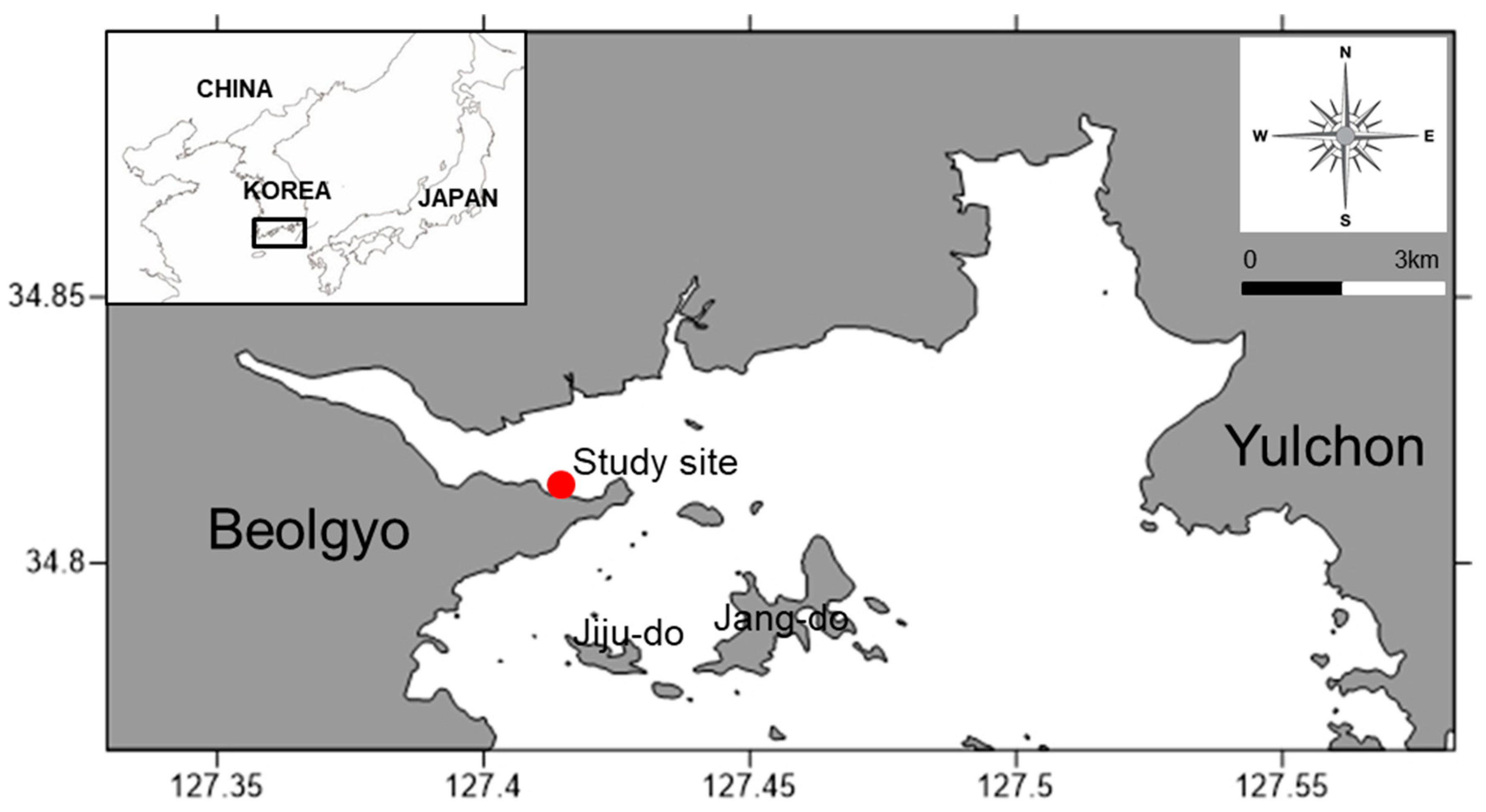 Diversity 12 00372 g001