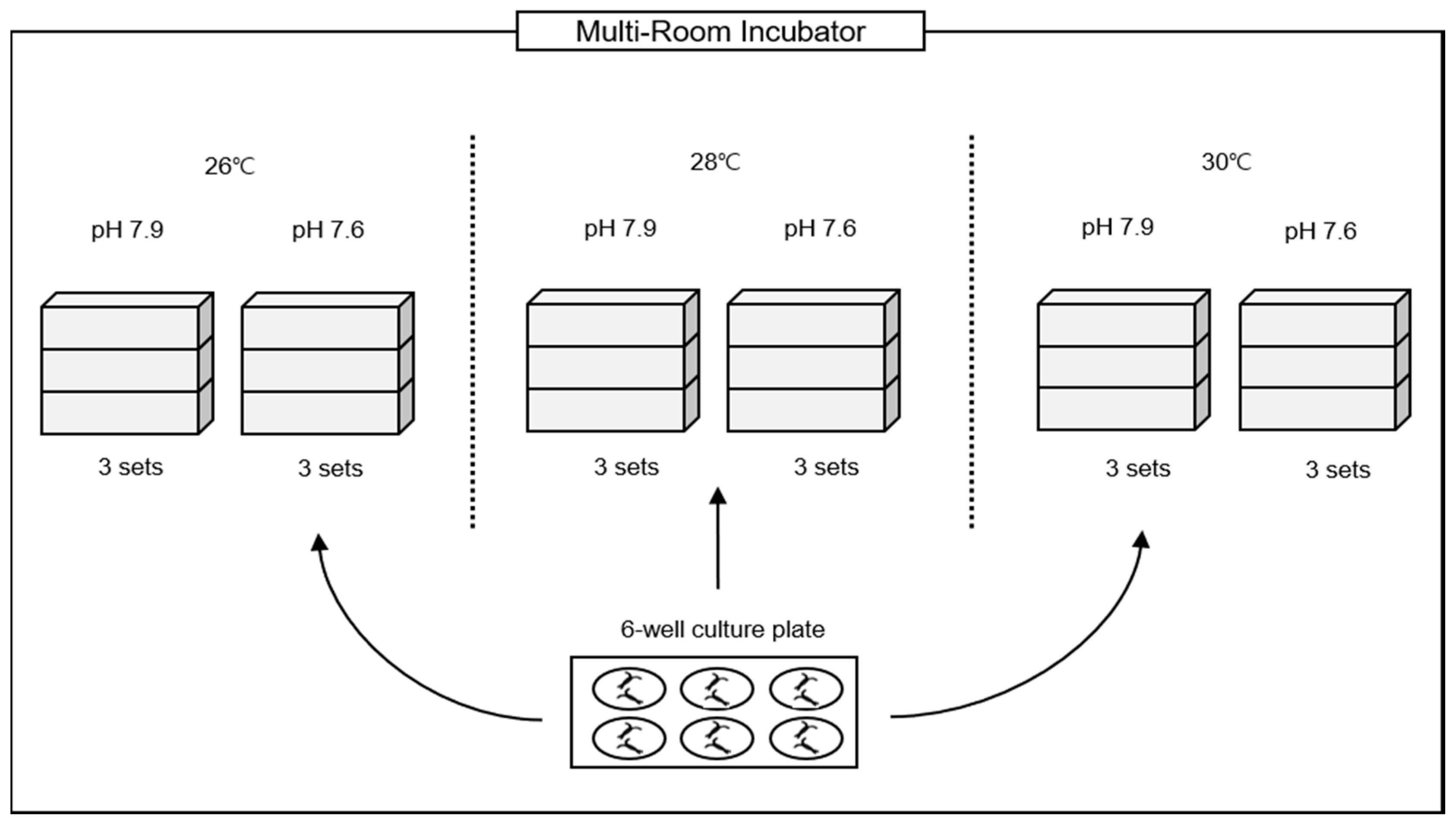 Diversity 12 00372 g002