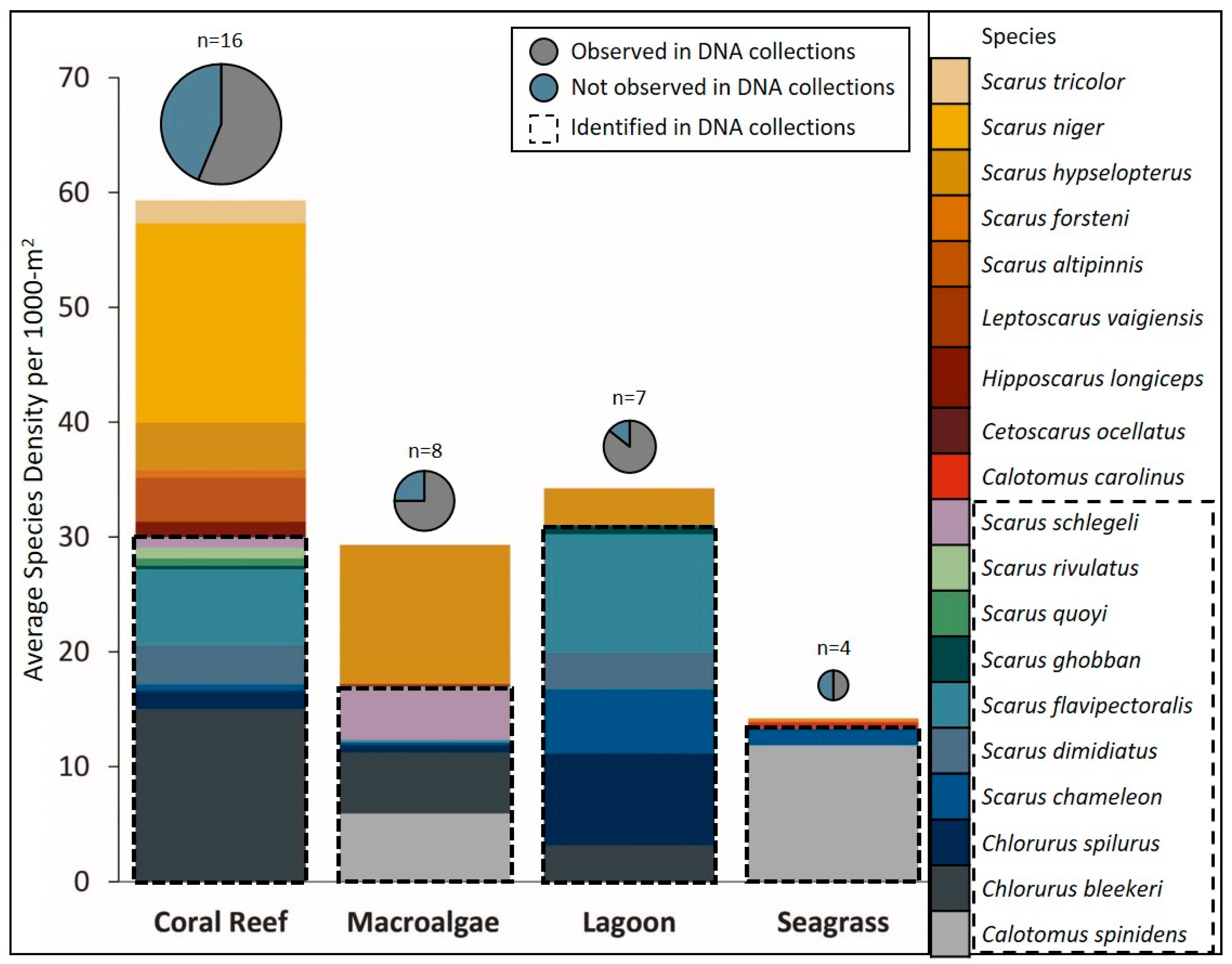 Diversity 12 00376 g003 Diversity 12 00376 g003