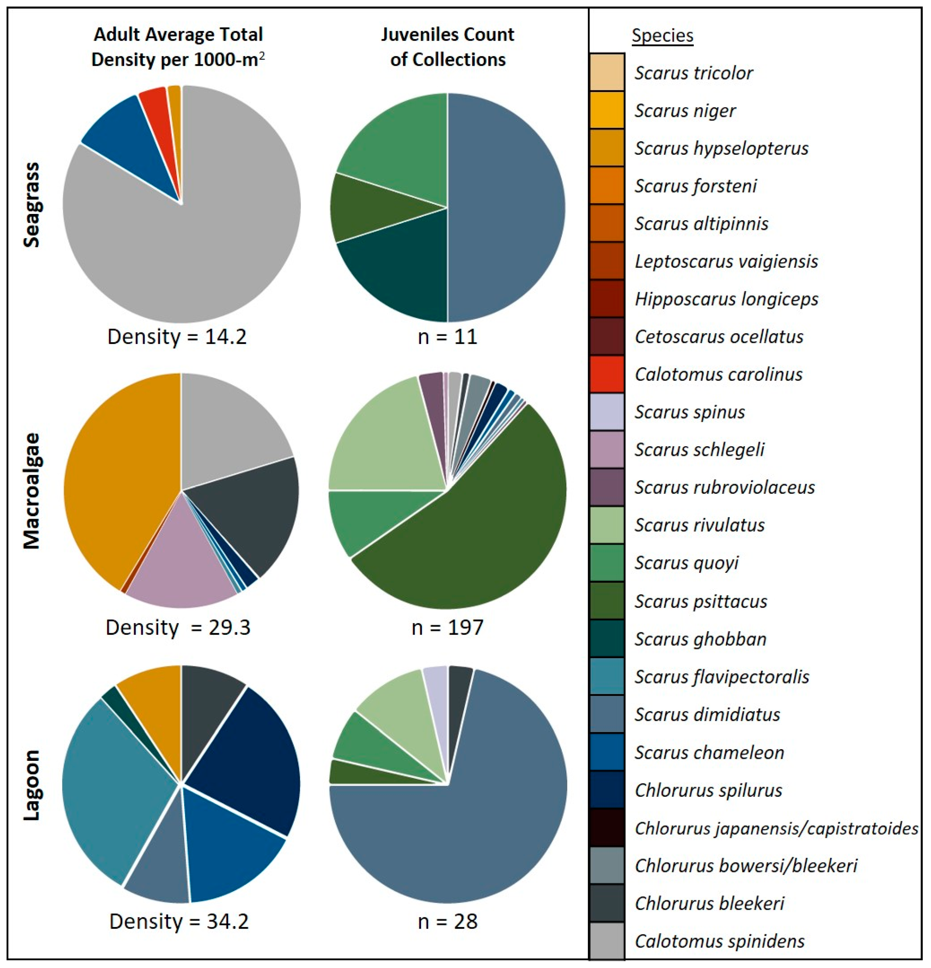 Diversity 12 00376 g004 Diversity 12 00376 g004