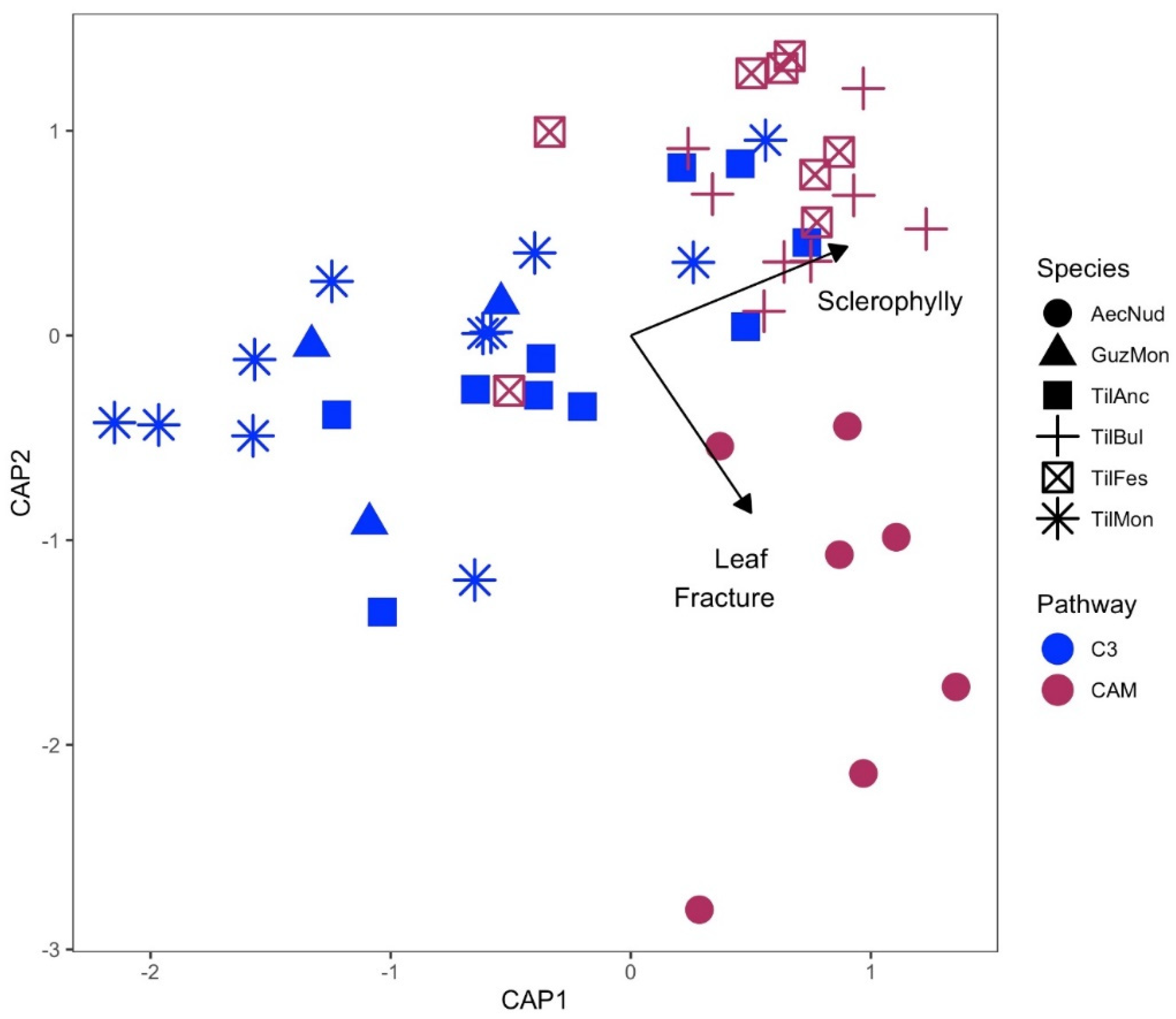 Diversity 12 00378 g004 Diversity 12 00378 g004