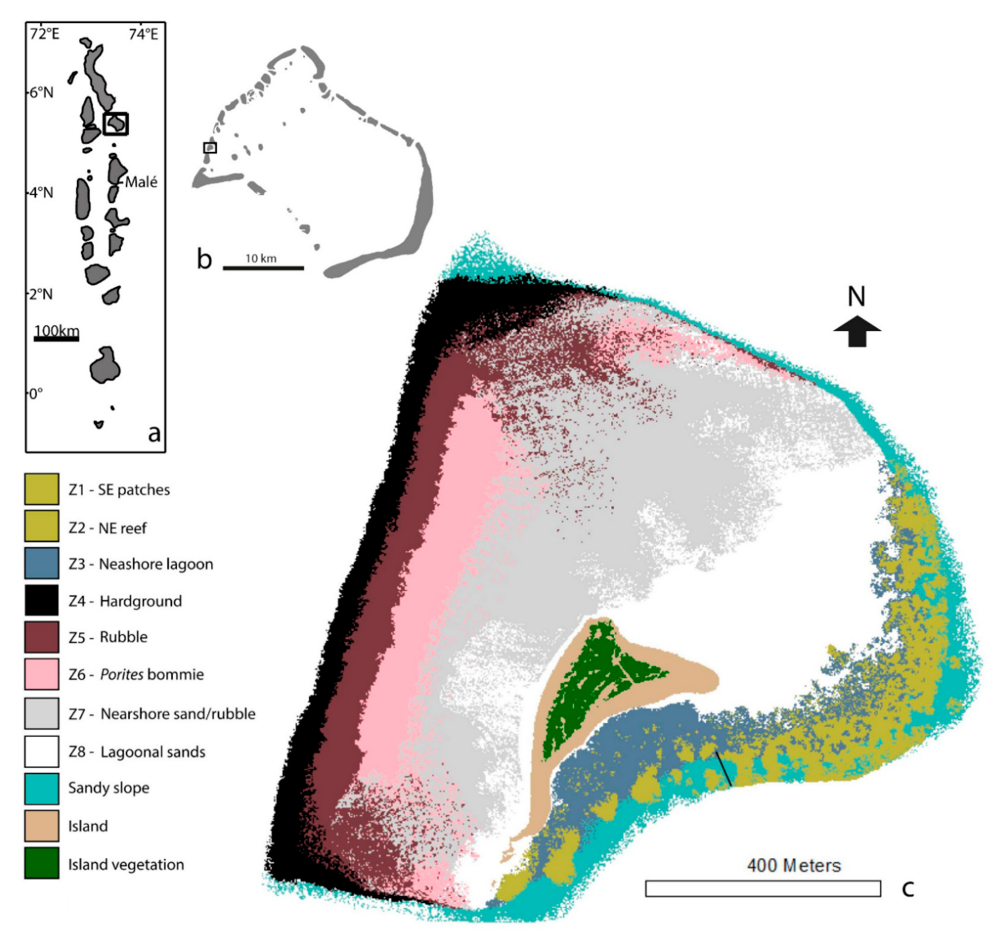 Diversity 12 00381 g001
