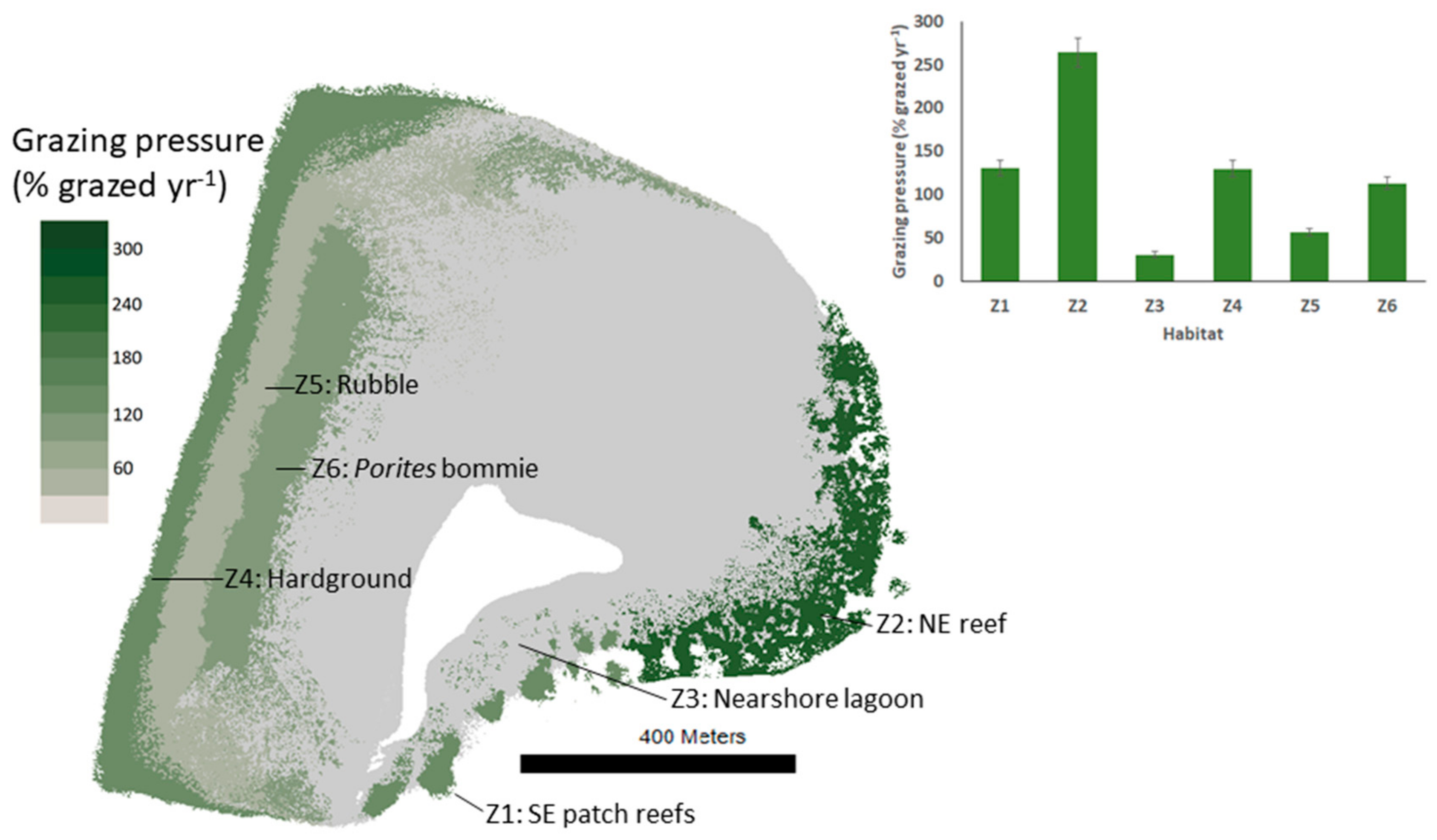 Diversity 12 00381 g005