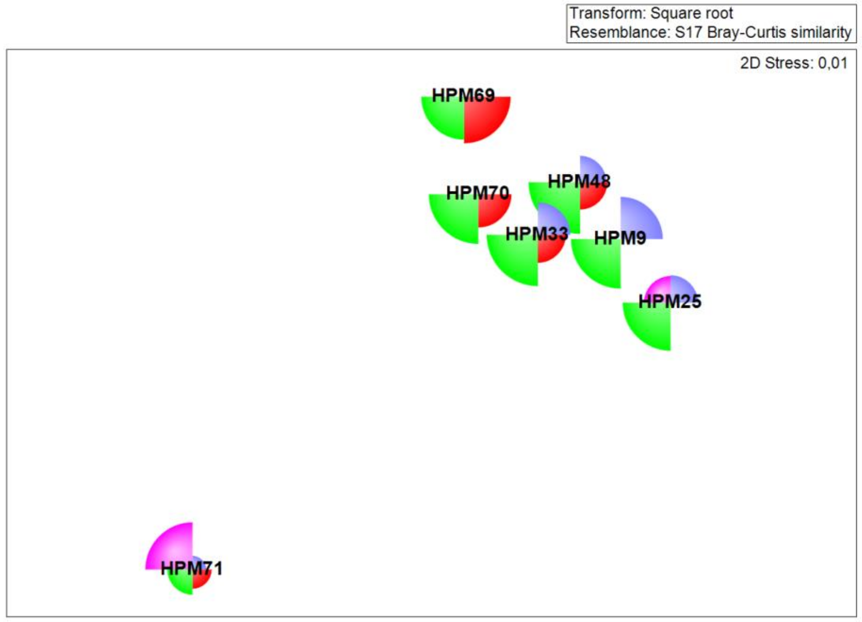 Diversity 12 00383 g003