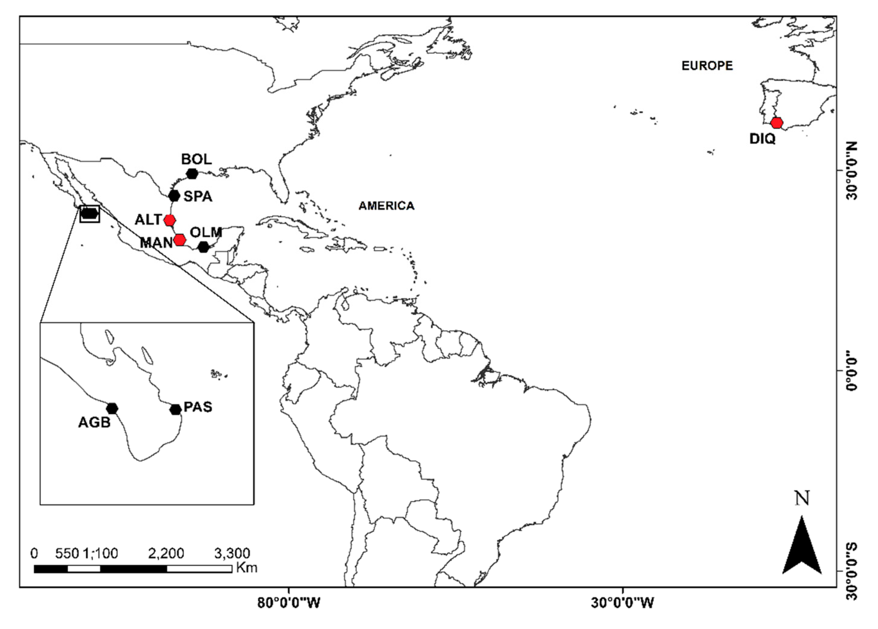Diversity 12 00387 g001