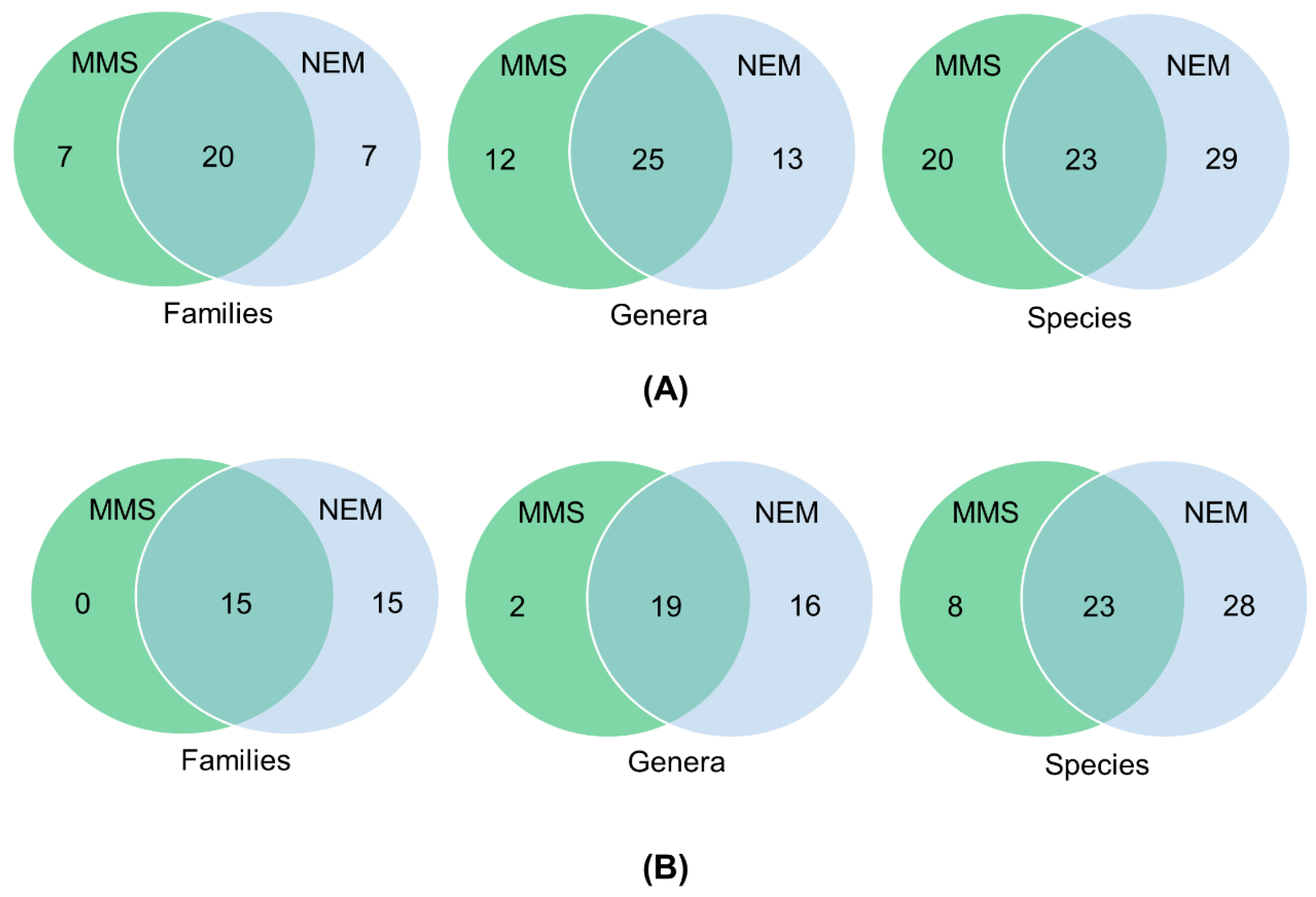 Diversity 12 00388 g002
