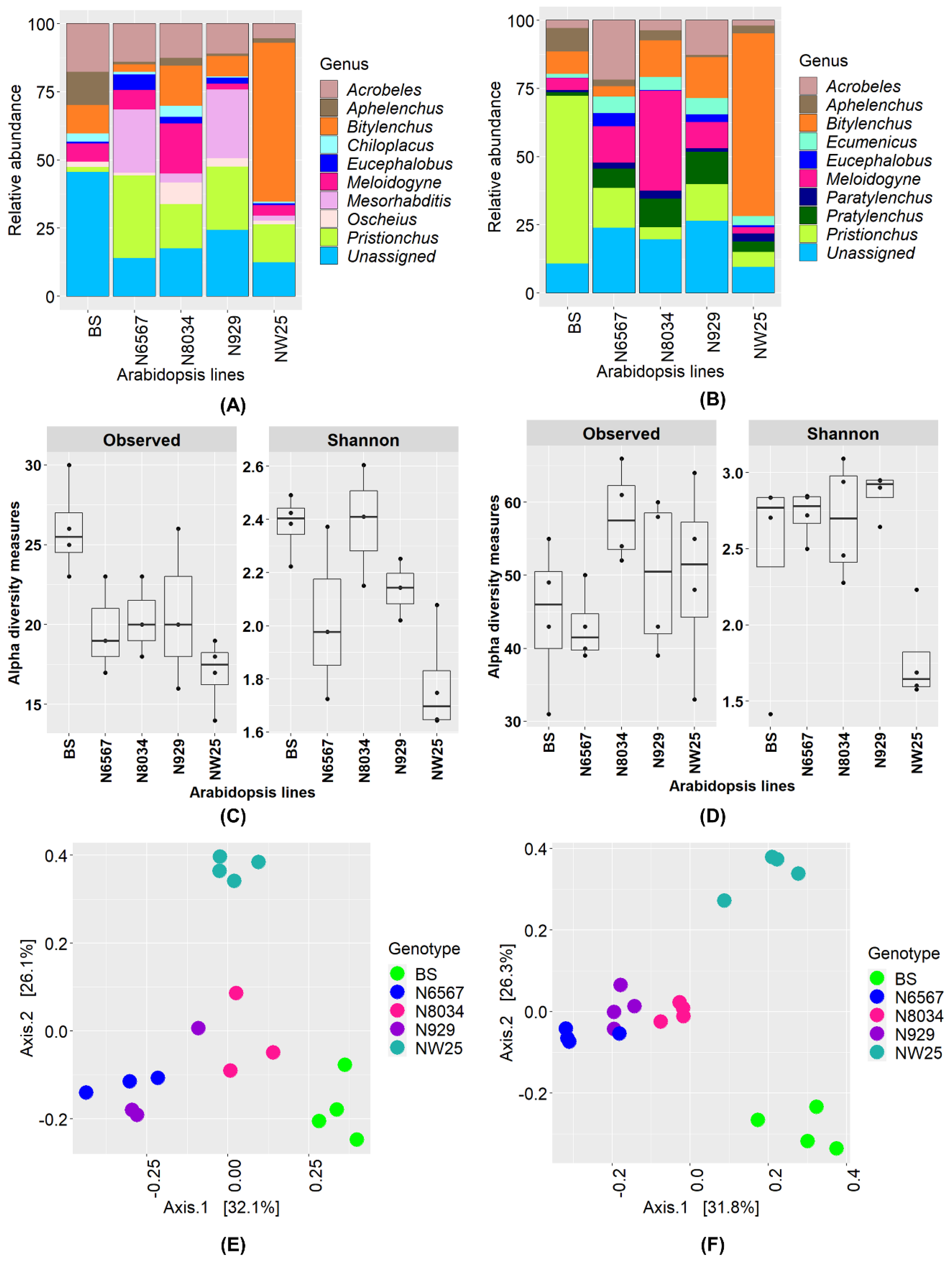Diversity 12 00388 g003