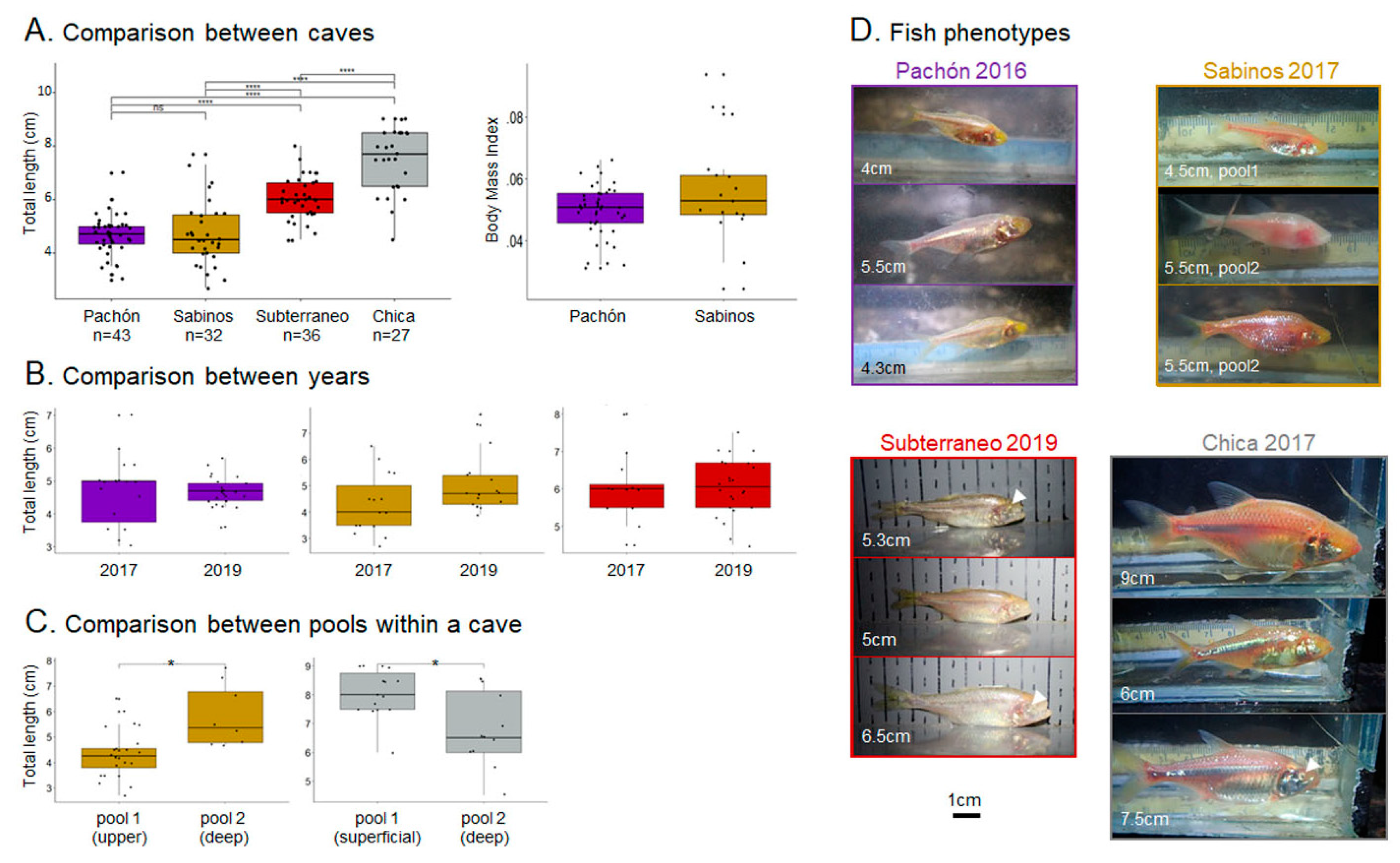 Diversity 12 00395 g004