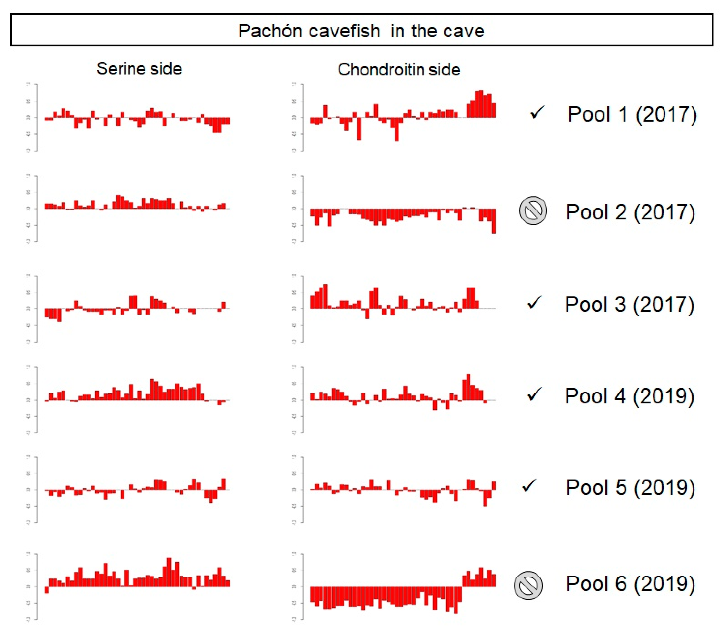 Diversity 12 00395 g005