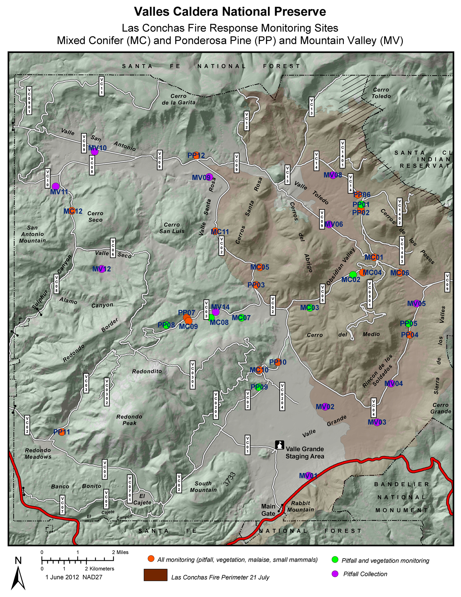 Diversity 12 00396 g003 Diversity 12 00396 g003