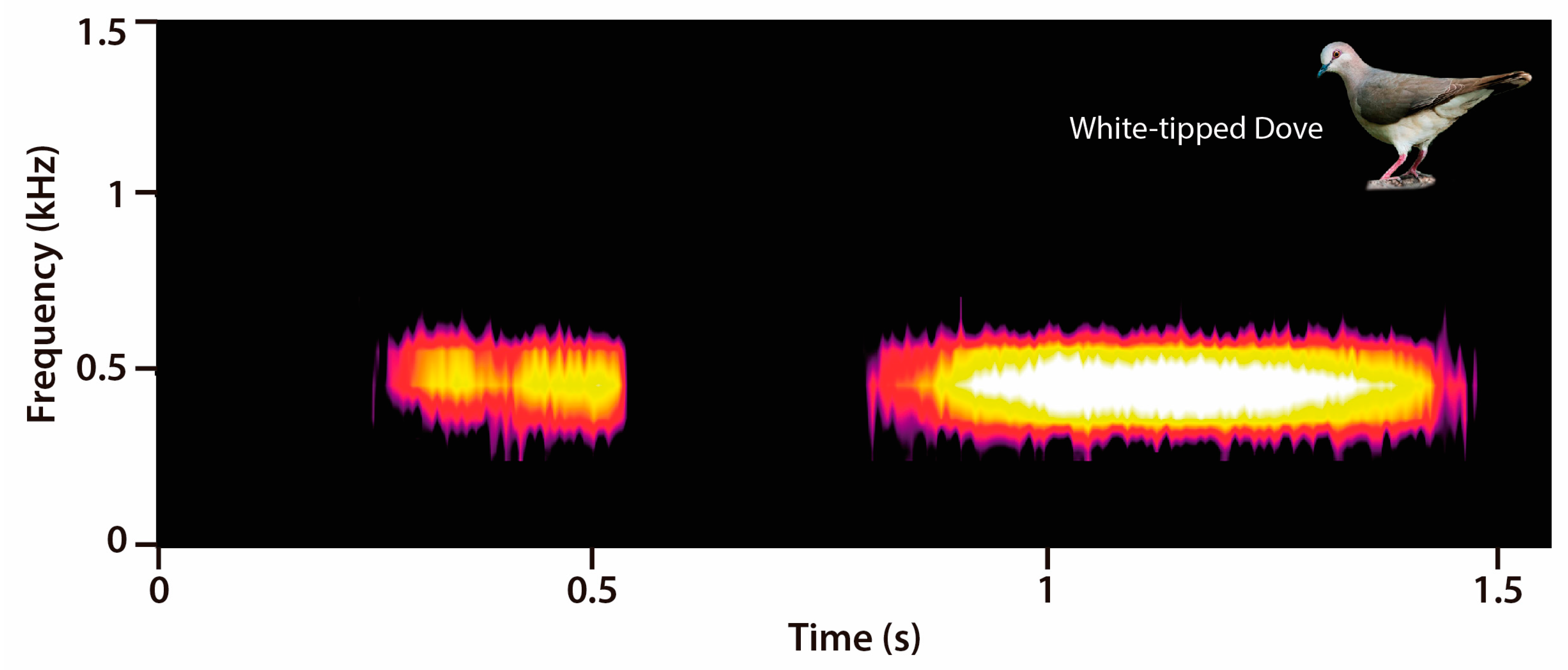 Diversity 12 00402 g001 Diversity 12 00402 g001