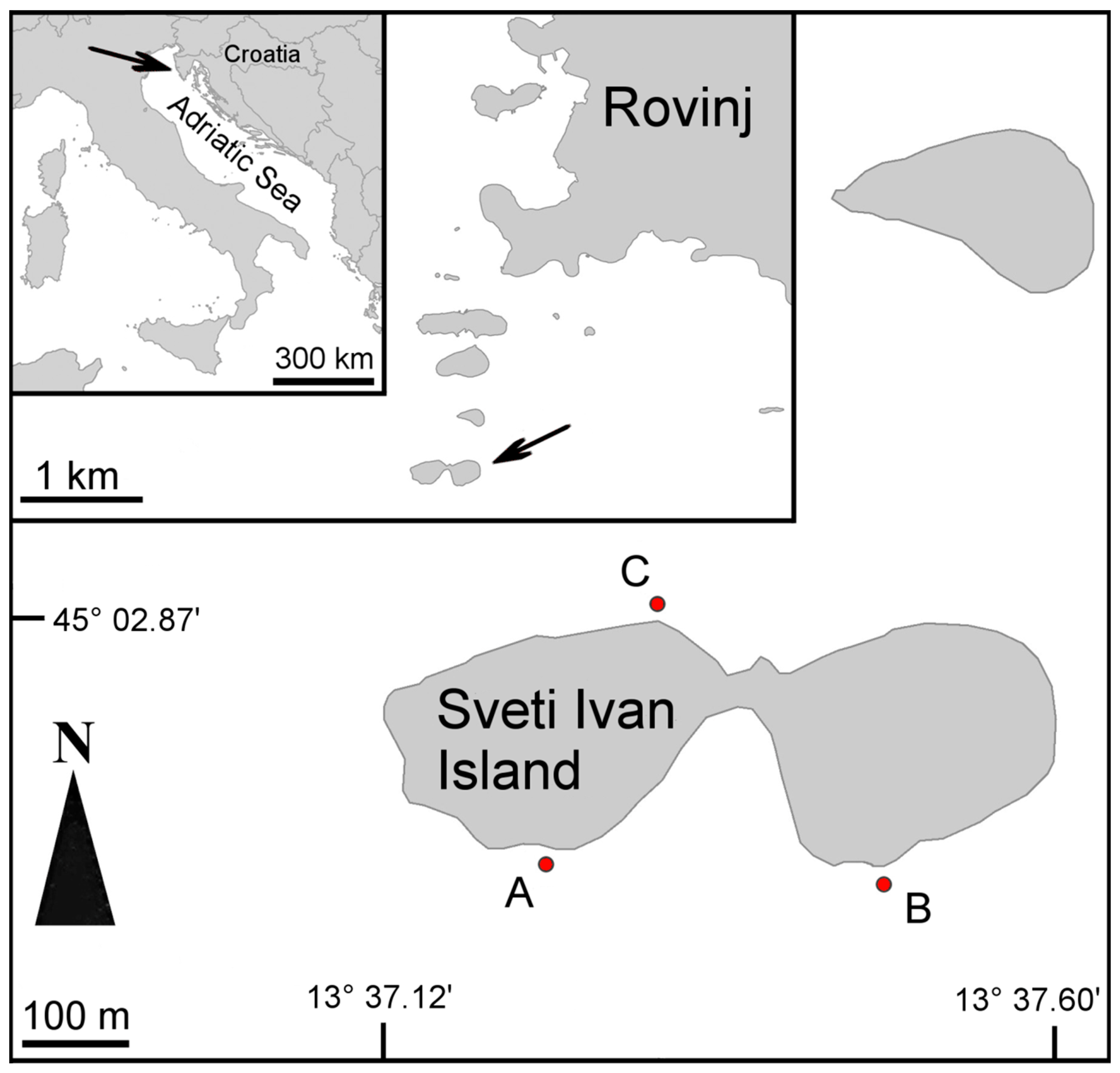 Diversity 12 00408 g001 Diversity 12 00408 g001