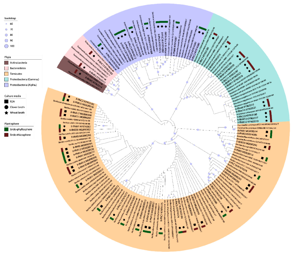 Diversity 12 00418 g004 Diversity 12 00418 g004